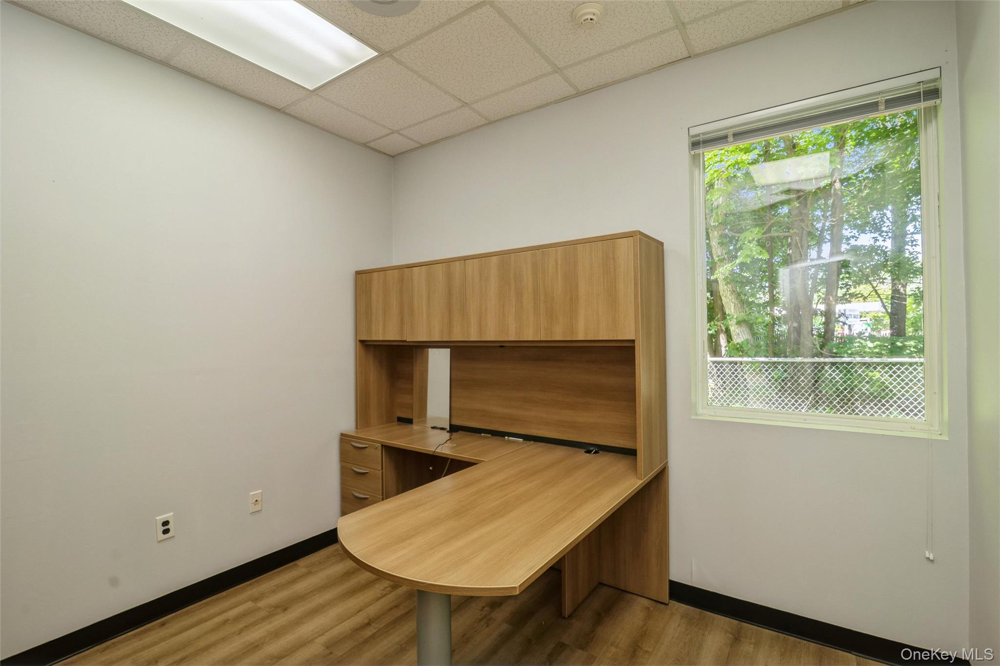 1641a Medford Avenue Property Photo 19