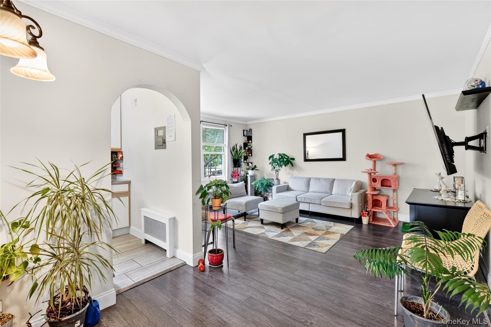 13 Winchester Avenue 2A Property Photo 1