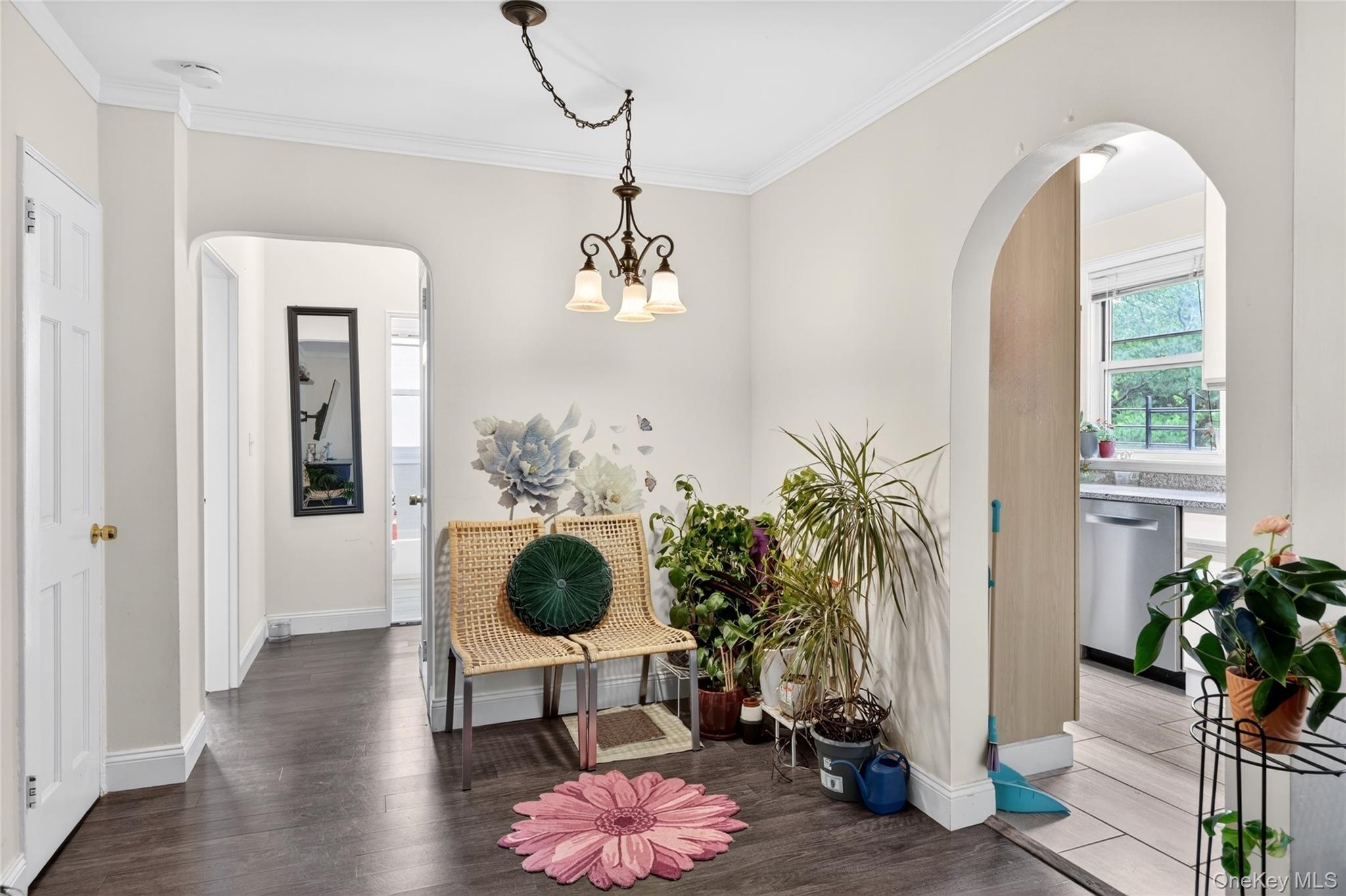 13 Winchester Avenue 2a Property Photo 3