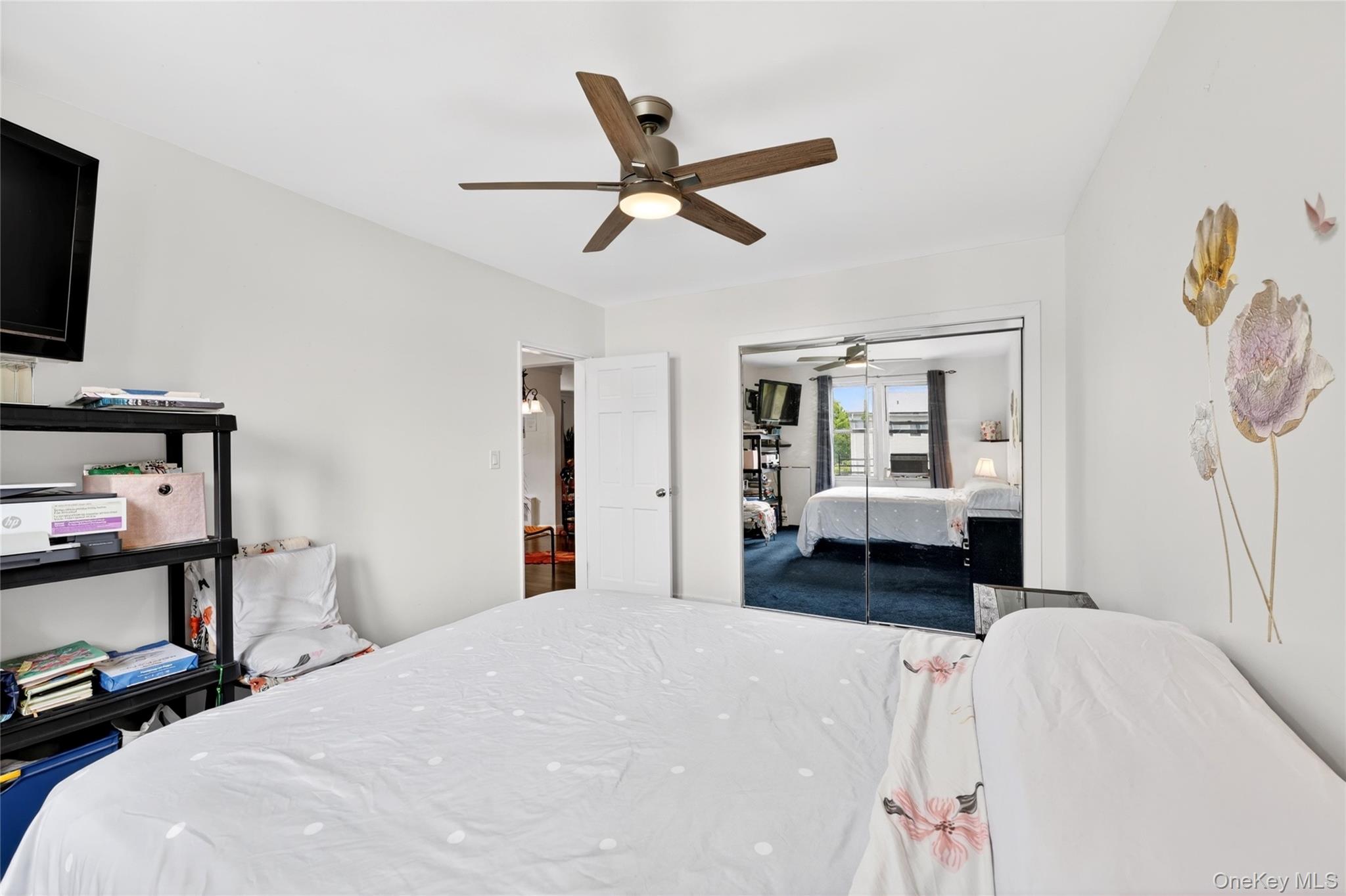 13 Winchester Avenue 2a Property Photo 10
