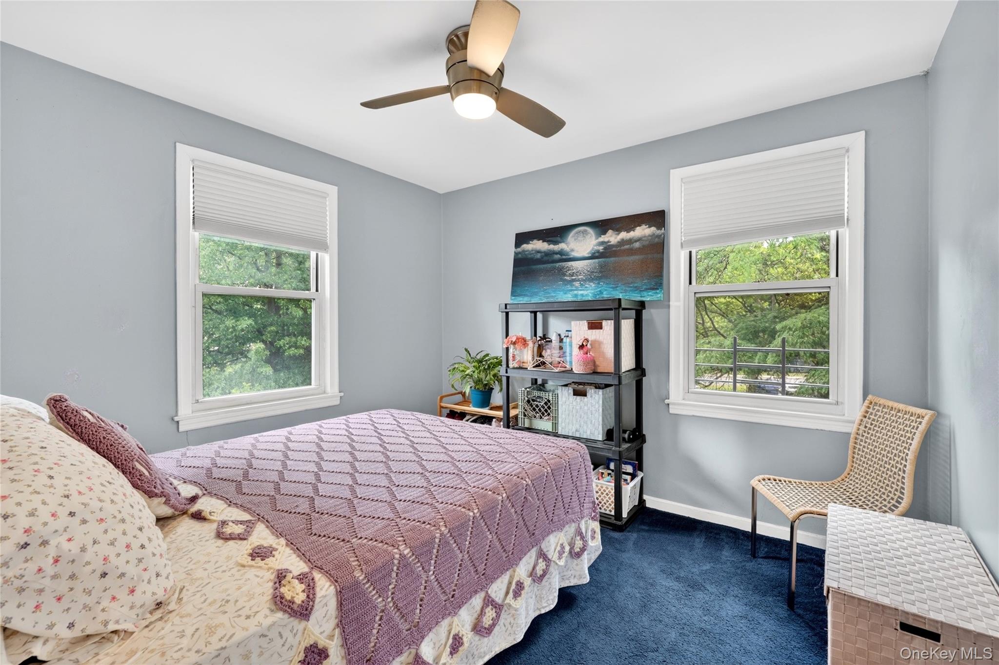 13 Winchester Avenue 2a Property Photo 11
