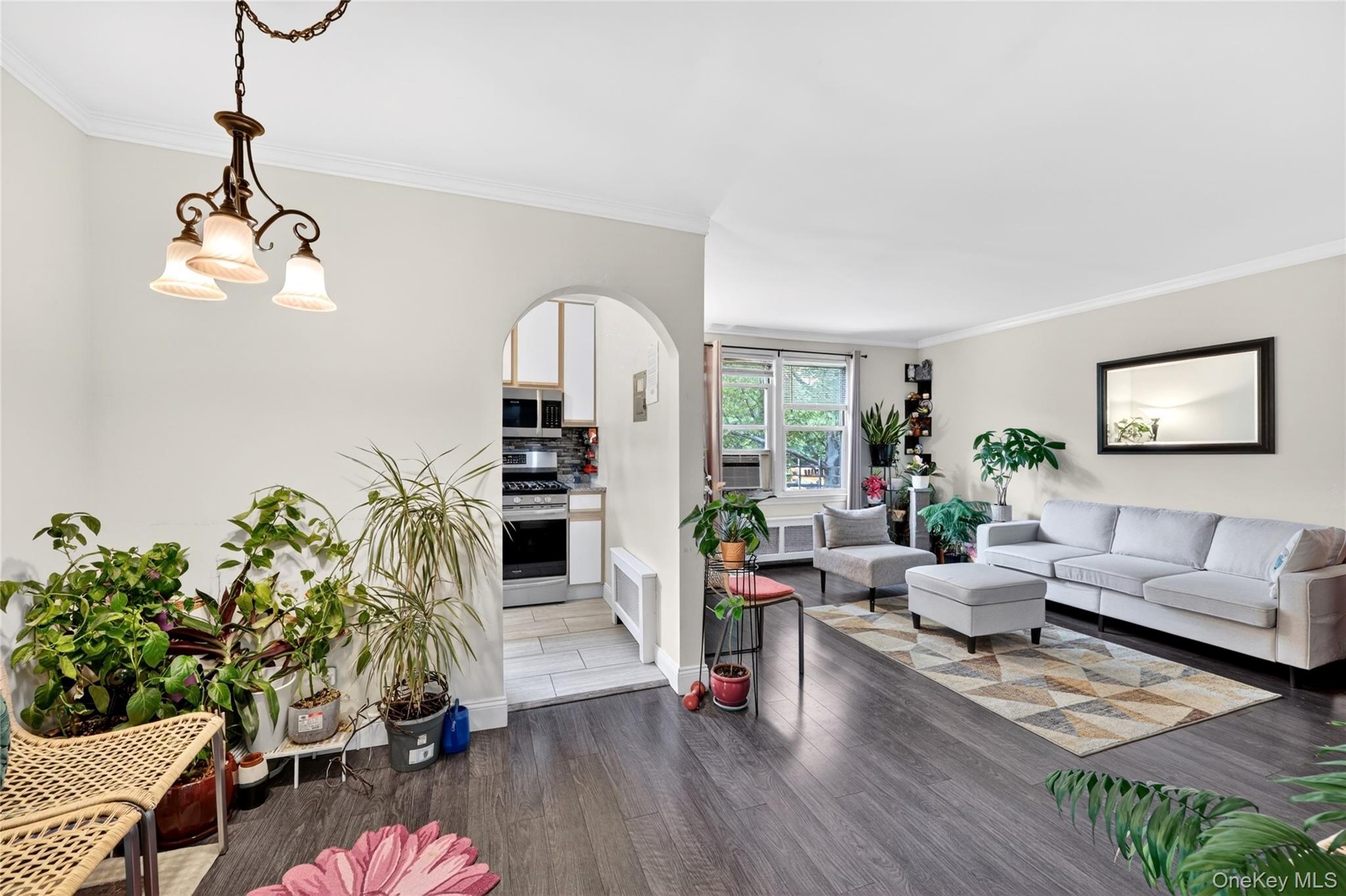 13 Winchester Avenue 2a Property Photo 14