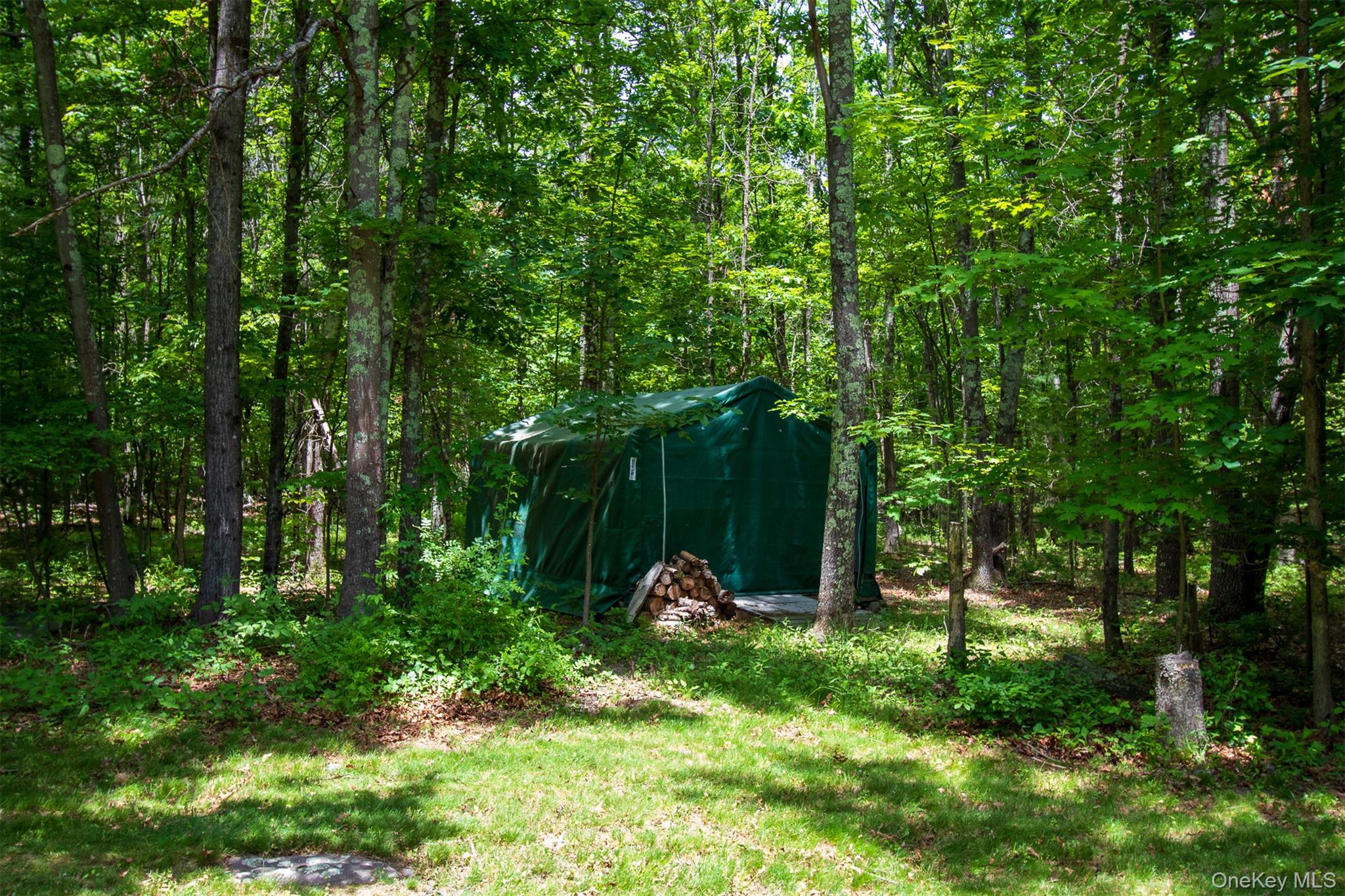 10 Lairds Court Property Photo 38