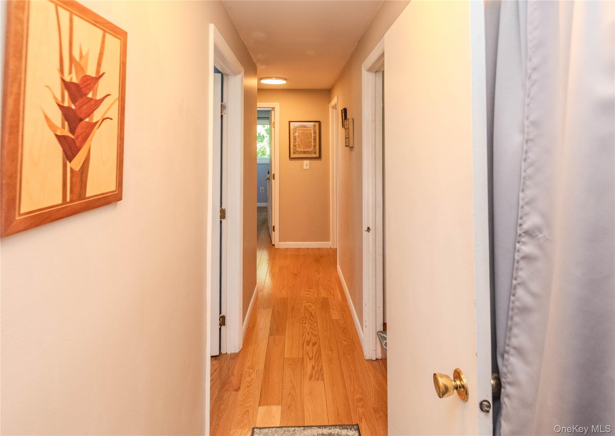 12 Ose Road Property Photo 12