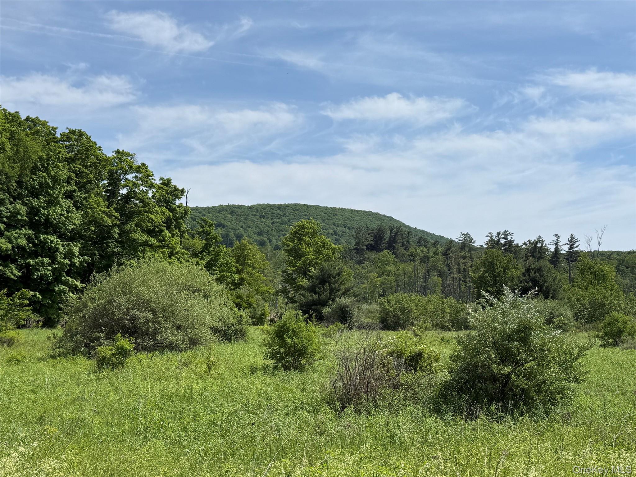 0 Route 44 Property Photo 3