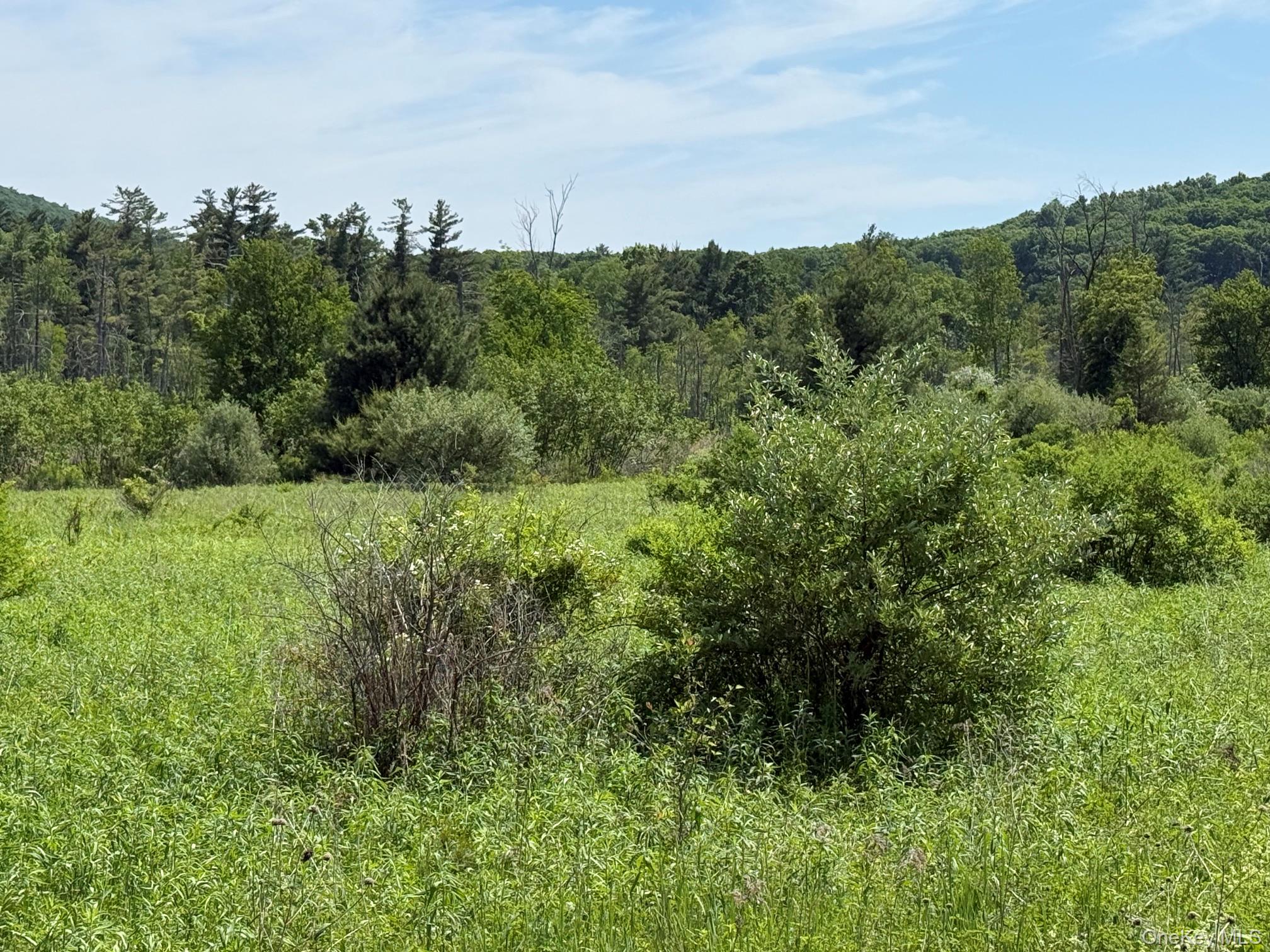 0 Route 44 Property Photo 4