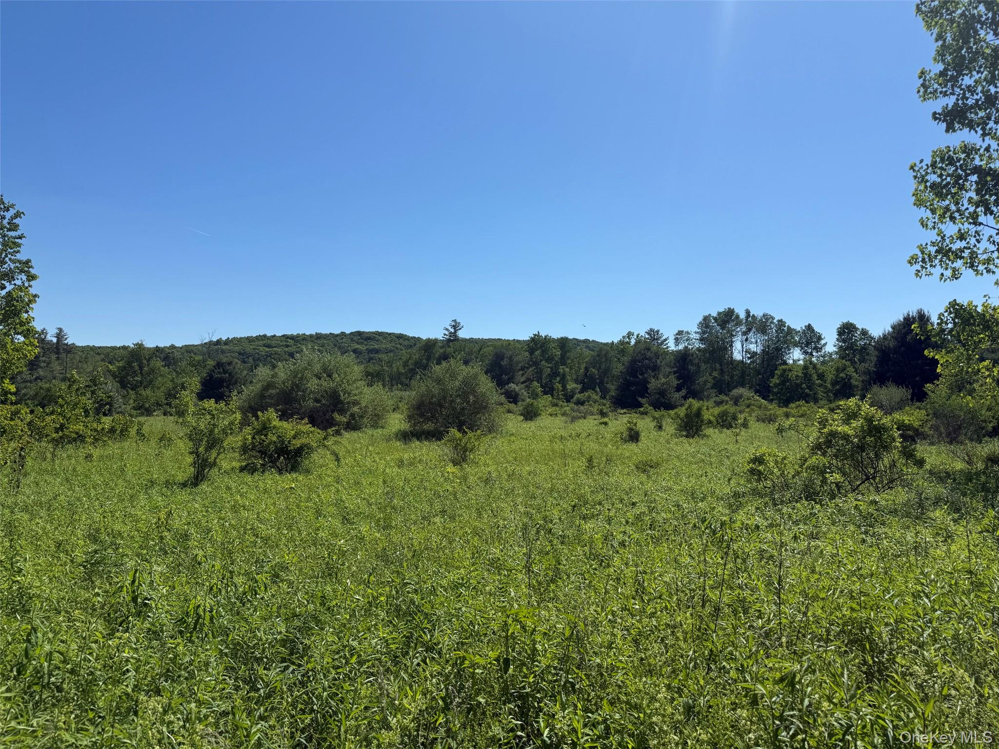 0 Route 44 Property Photo 6