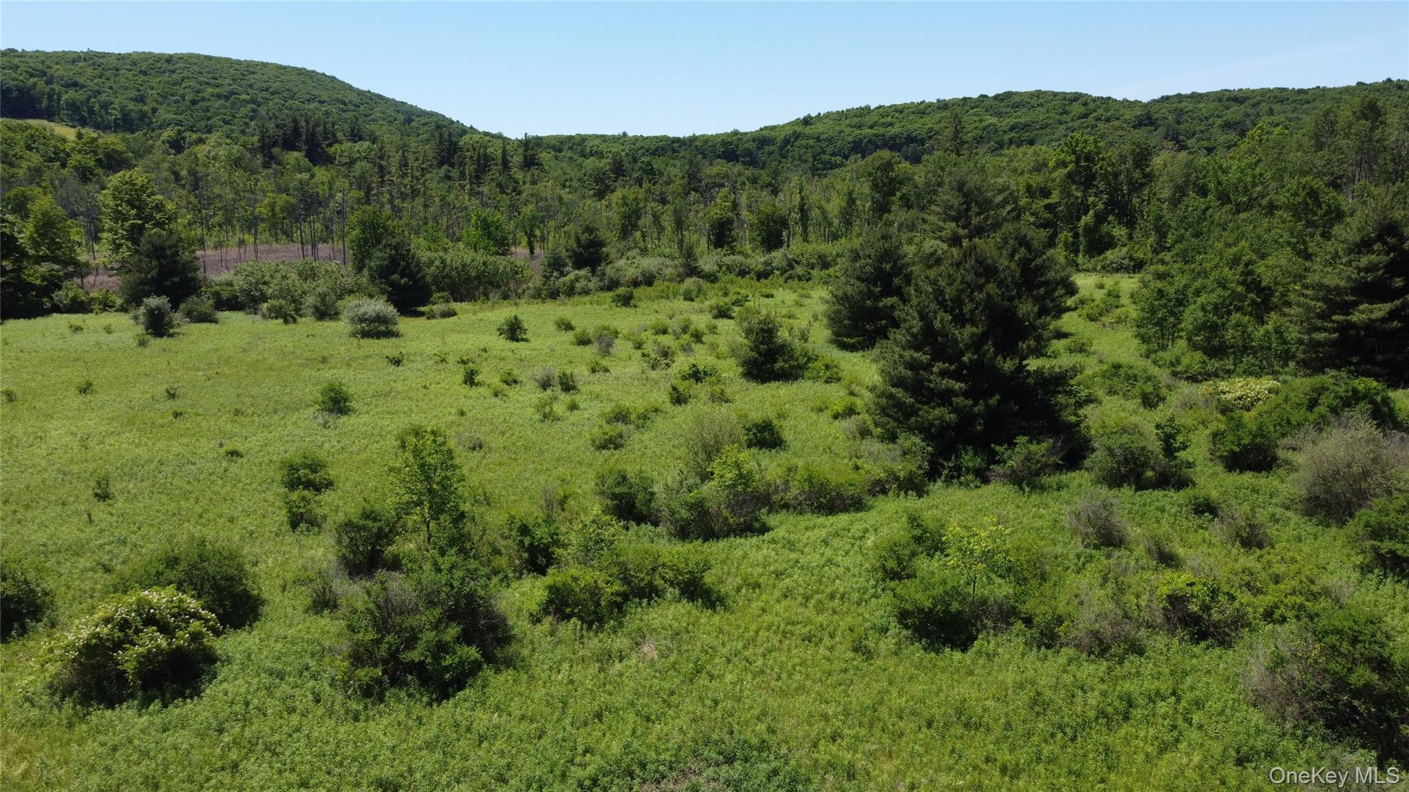 0 Route 44 Property Photo 10