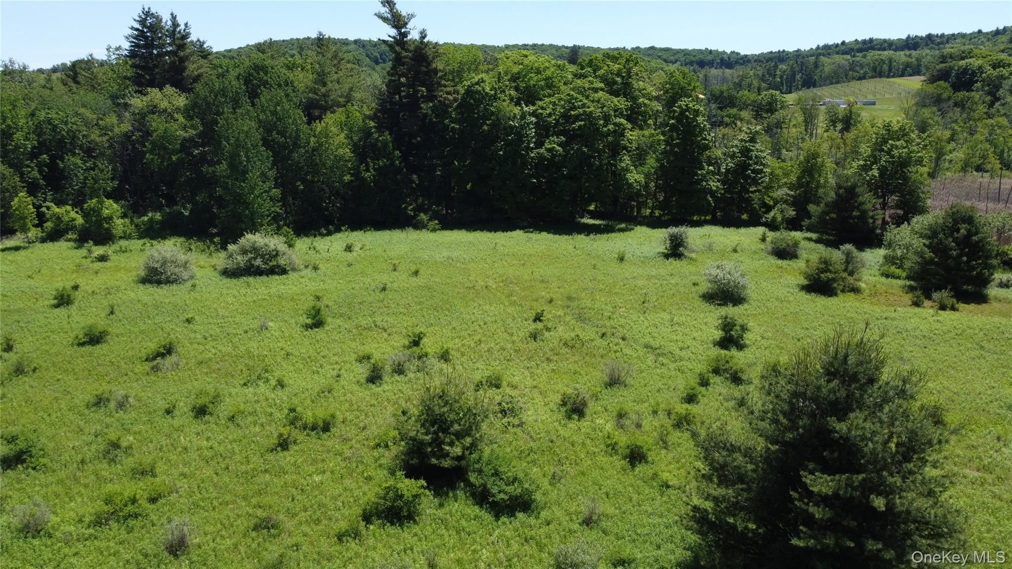 0 Route 44 Property Photo 11