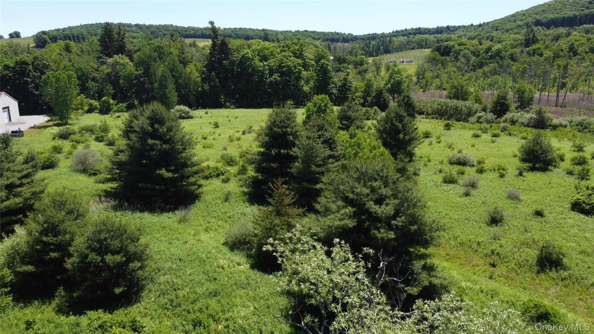 0 Route 44 Property Photo 12