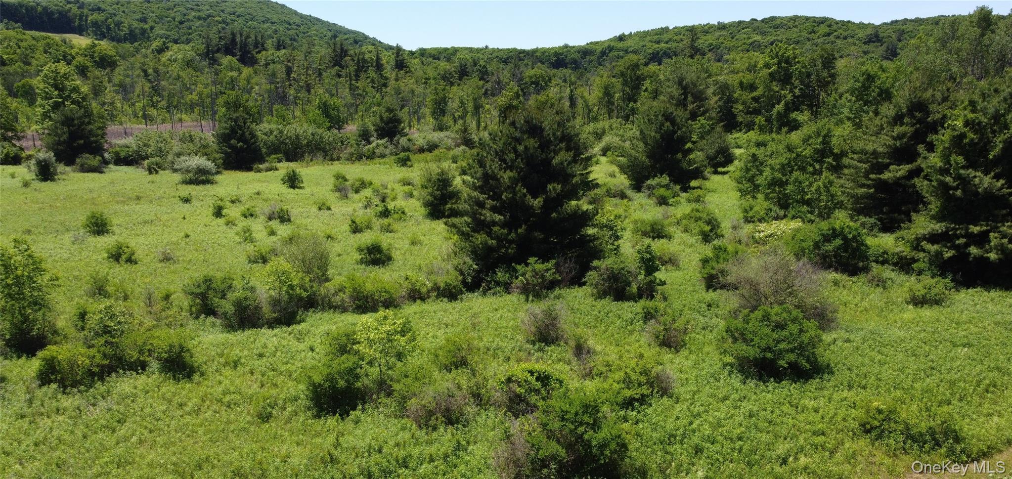 0 Route 44 Property Photo 13