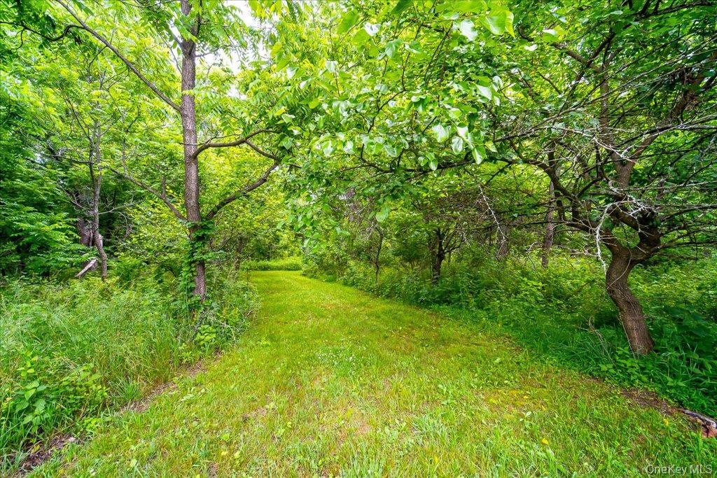 1524 State Route 17a Property Photo 38