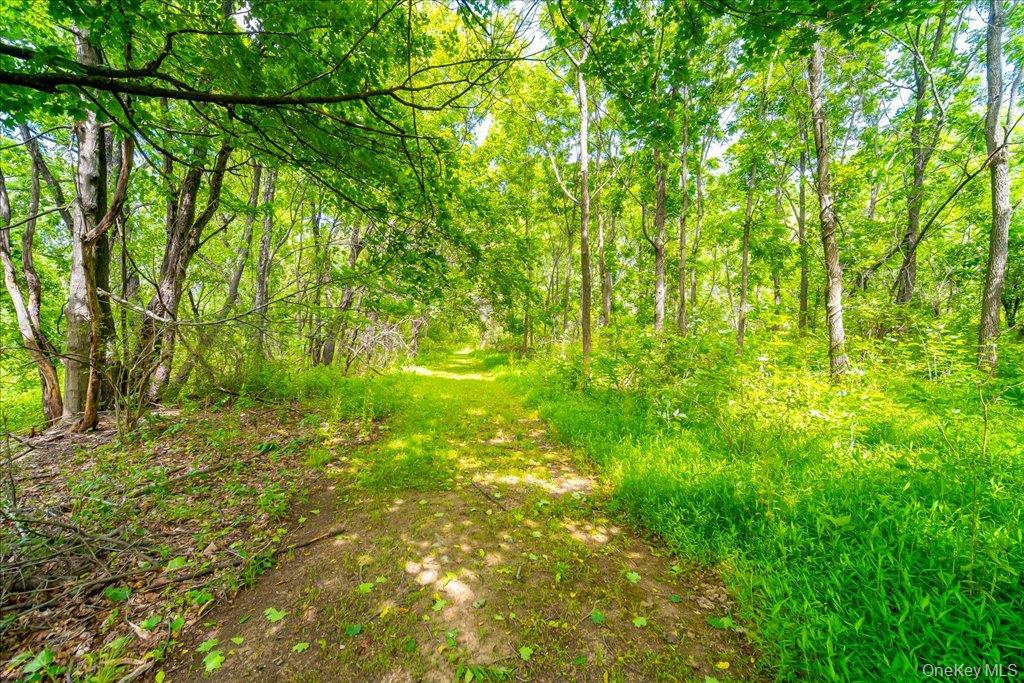1524 State Route 17a Property Photo 40