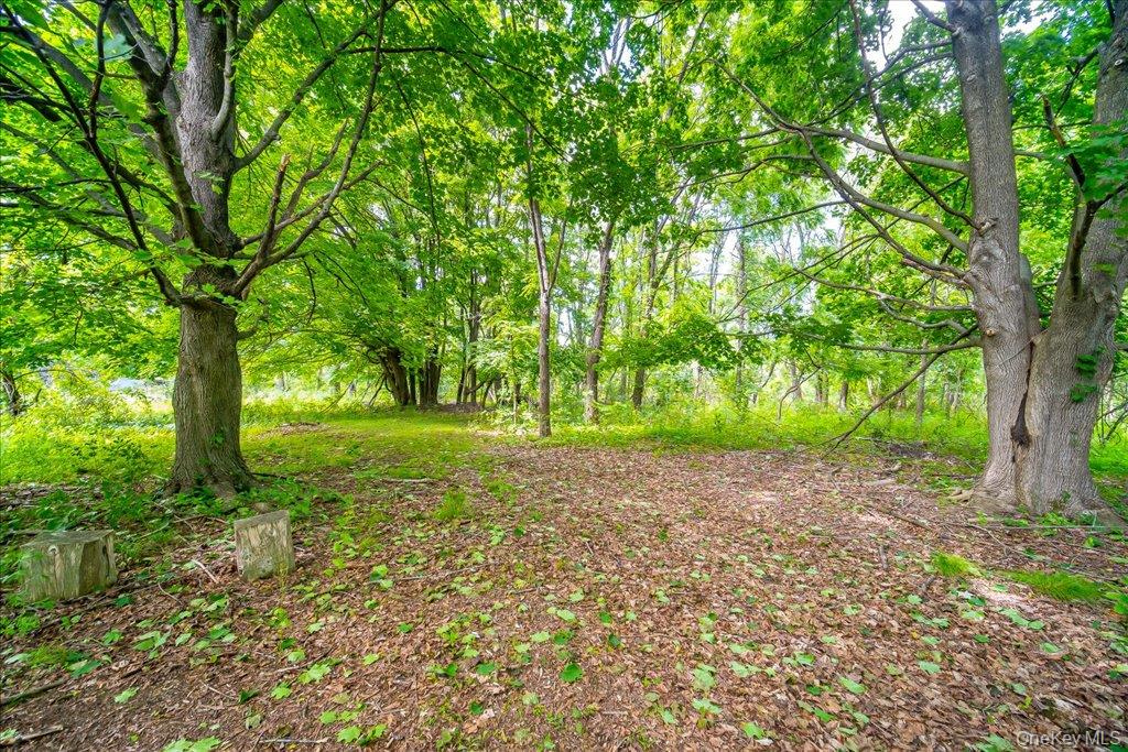 1524 State Route 17a Property Photo 41