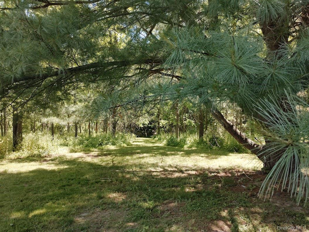 1524 State Route 17a Property Photo 42