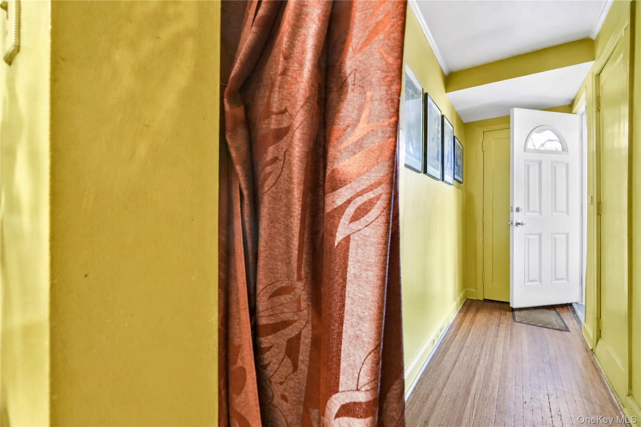 67-10 Selfridge Street Property Photo 4