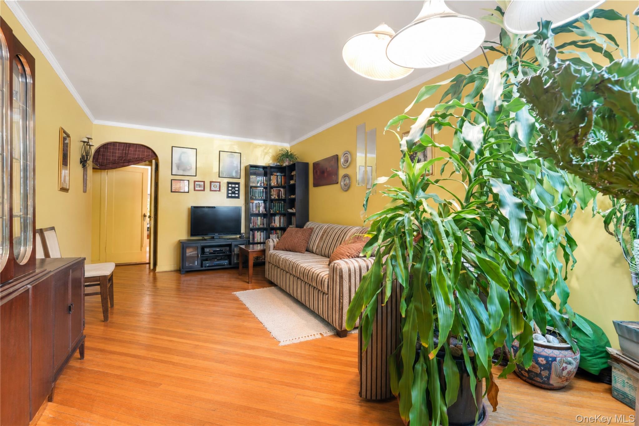 67-10 Selfridge Street Property Photo 5