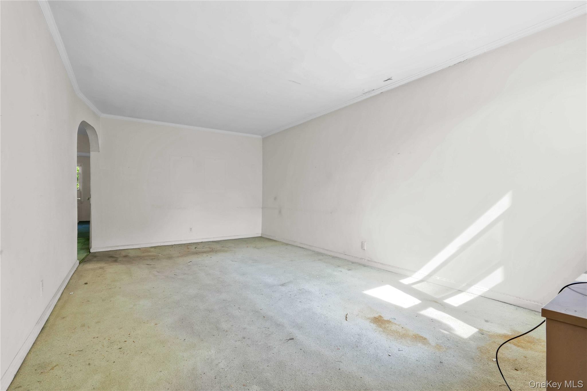 67-10 Selfridge Street Property Photo 18