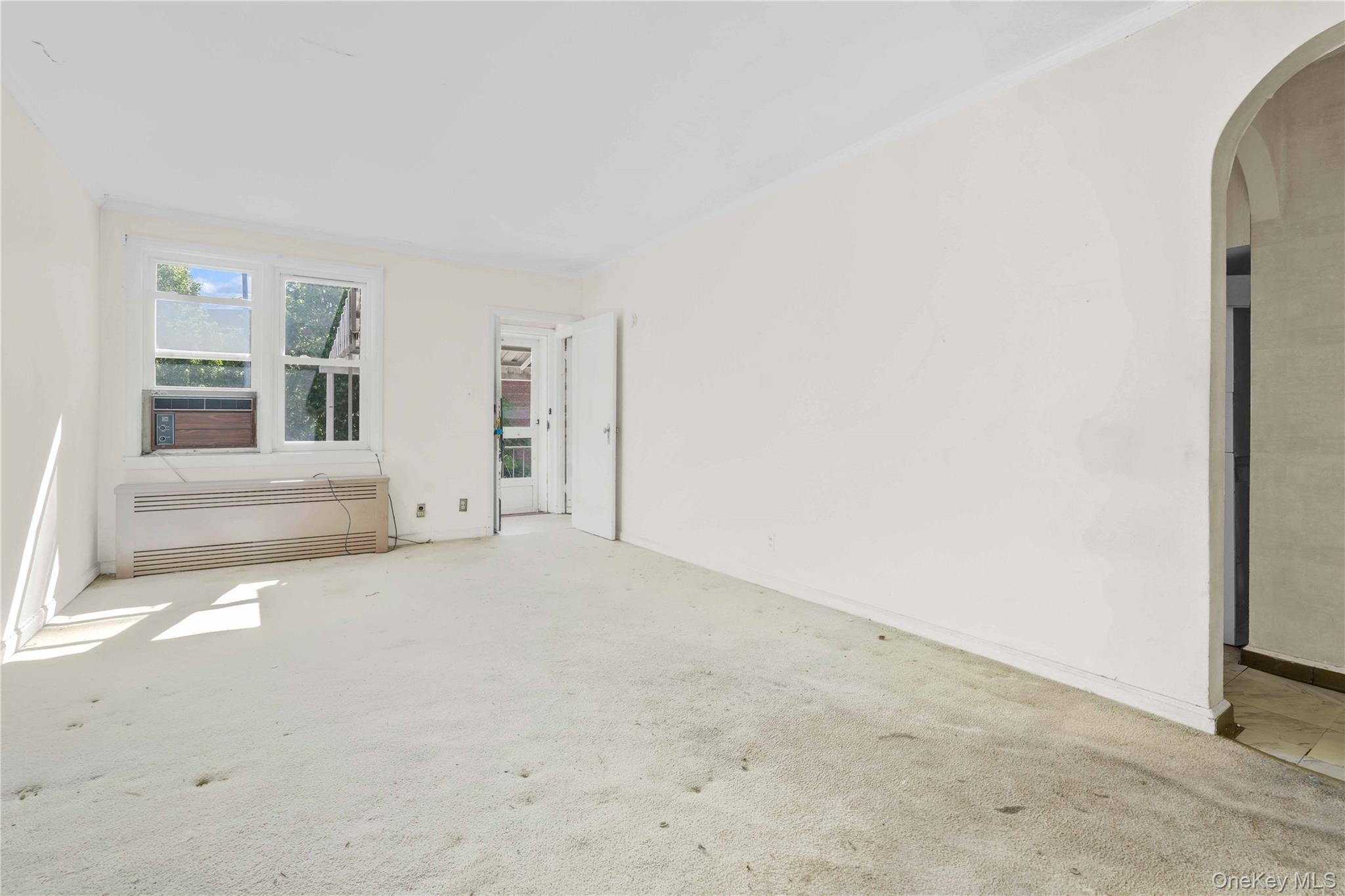 67-10 Selfridge Street Property Photo 19