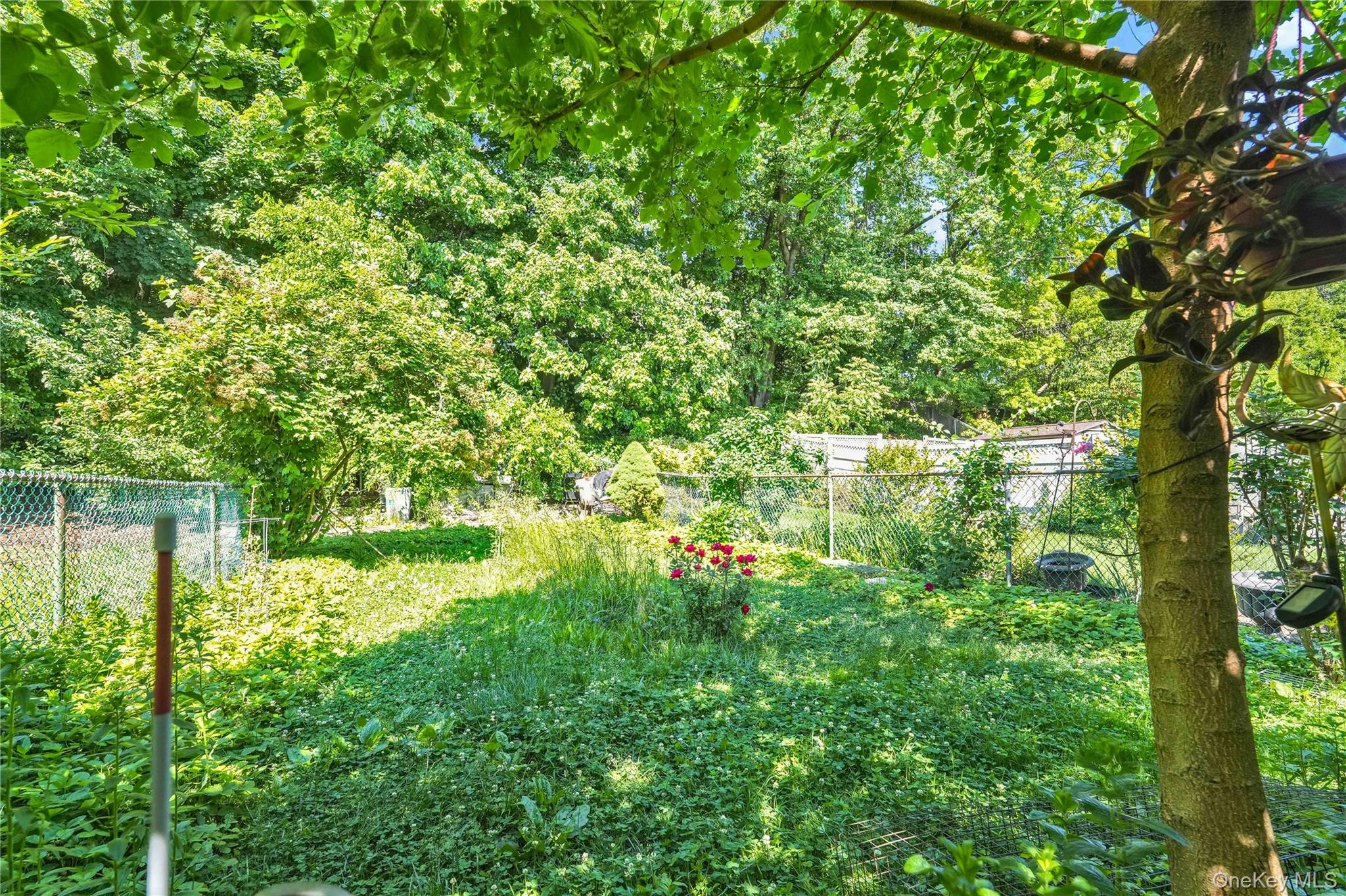 67-10 Selfridge Street Property Photo 35