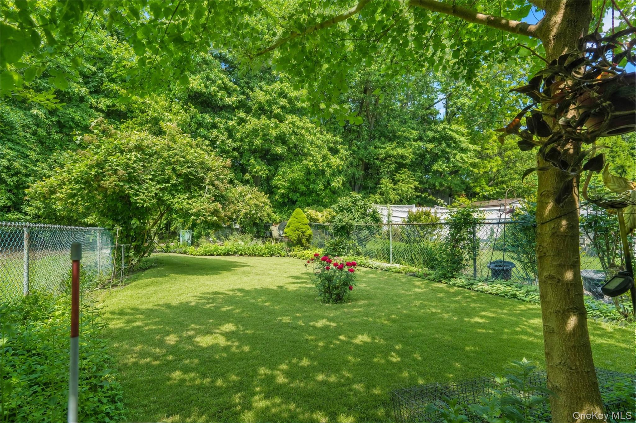 67-10 Selfridge Street Property Photo 36