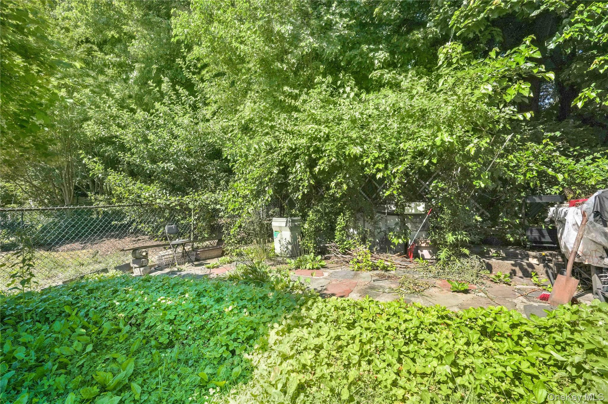 67-10 Selfridge Street Property Photo 38