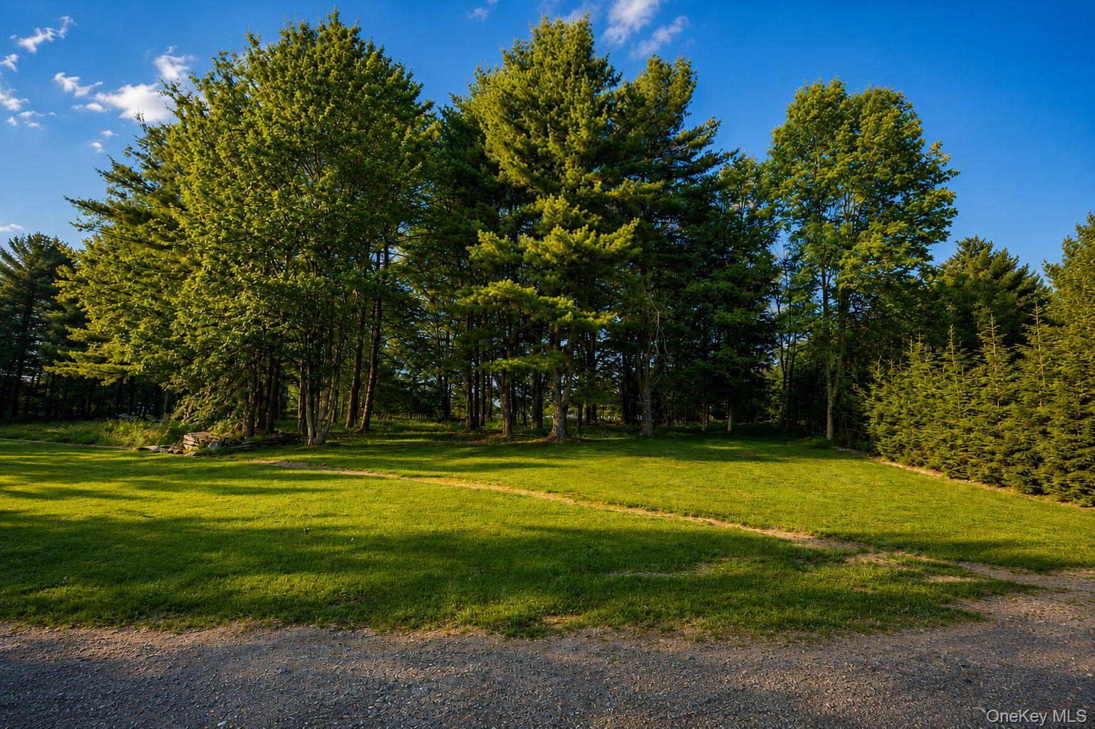 266 Lt Brender Hwy Property Photo 4