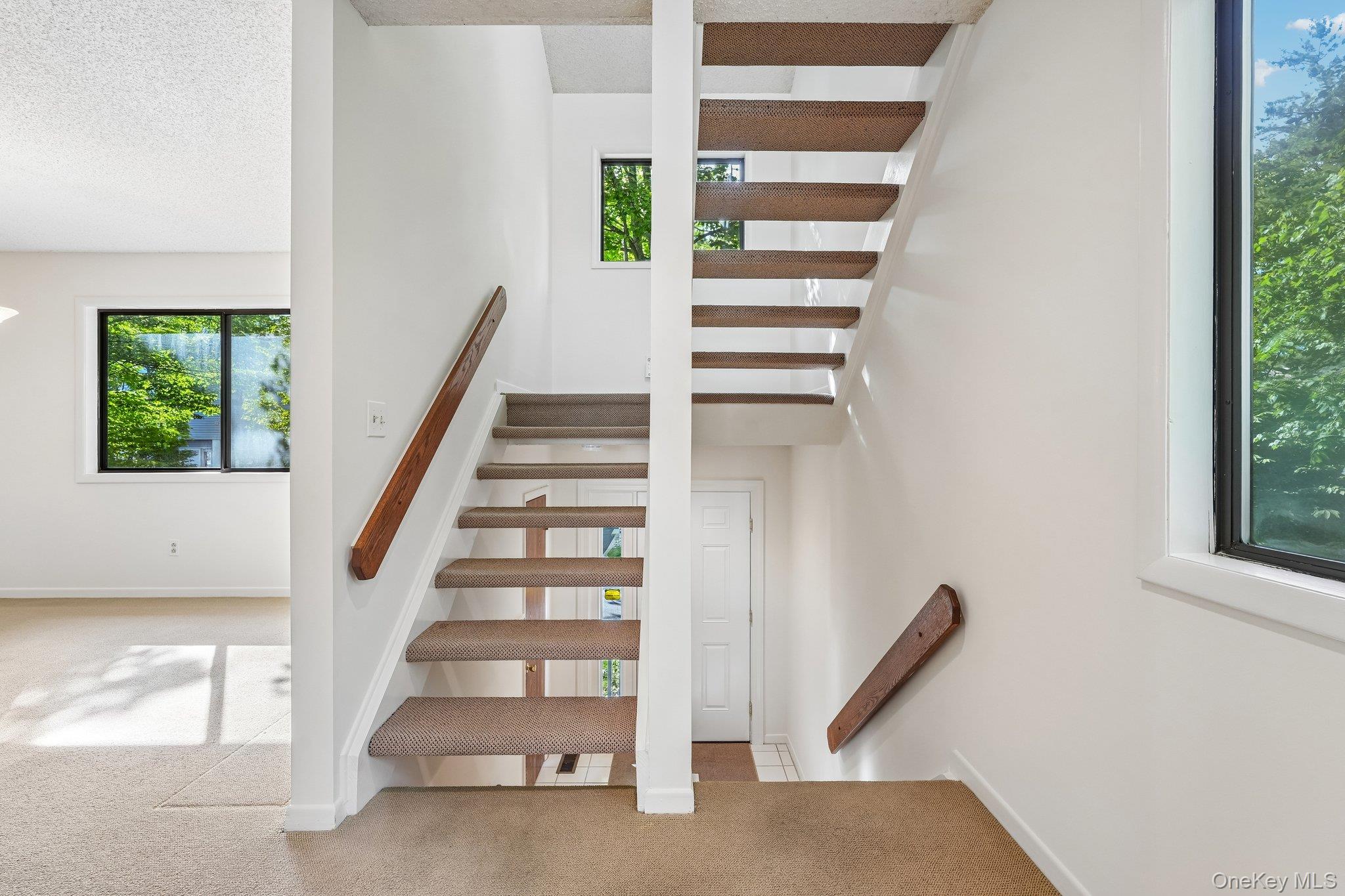 12 Evan Court Property Photo 15