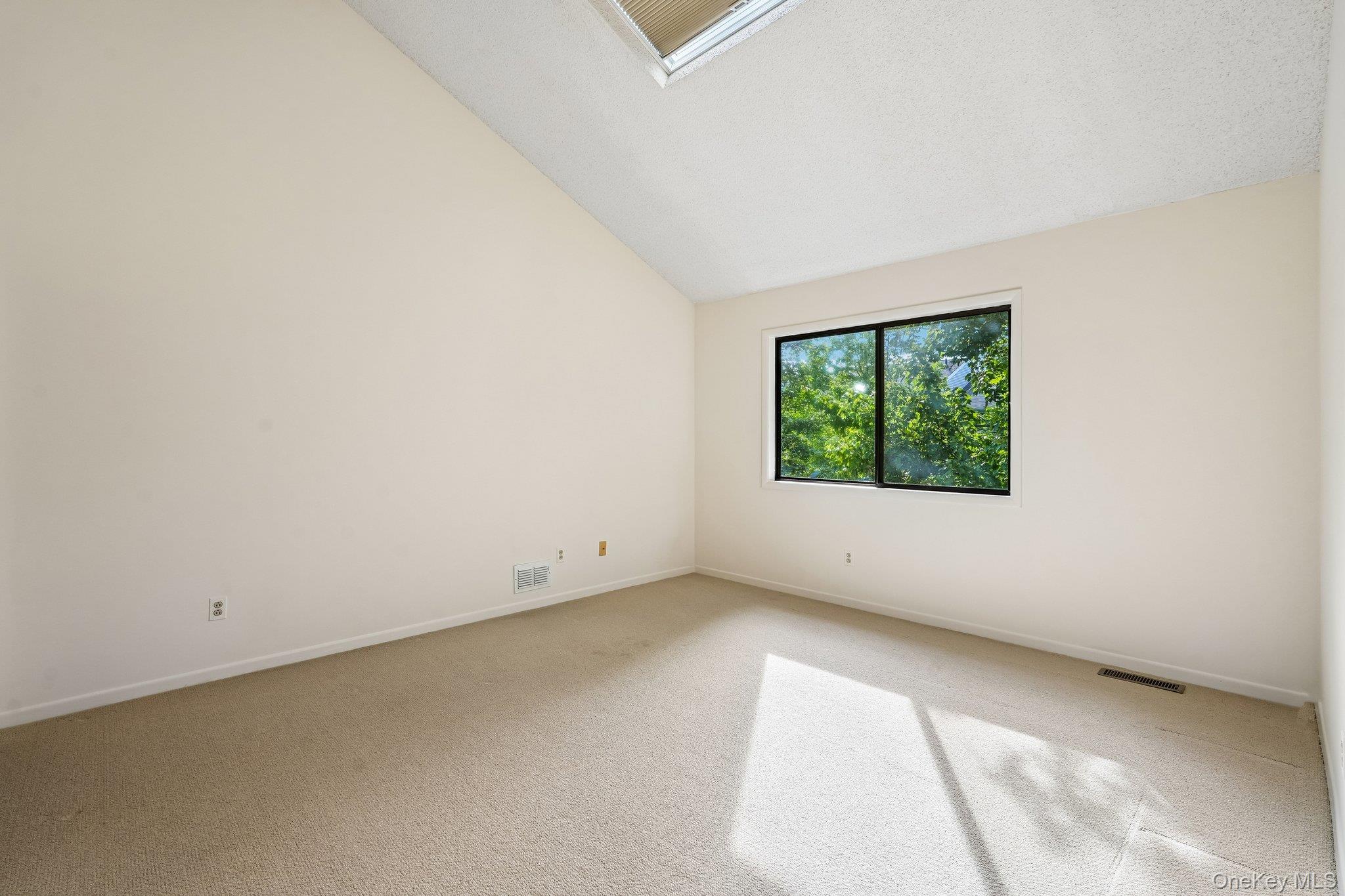 12 Evan Court Property Photo 16