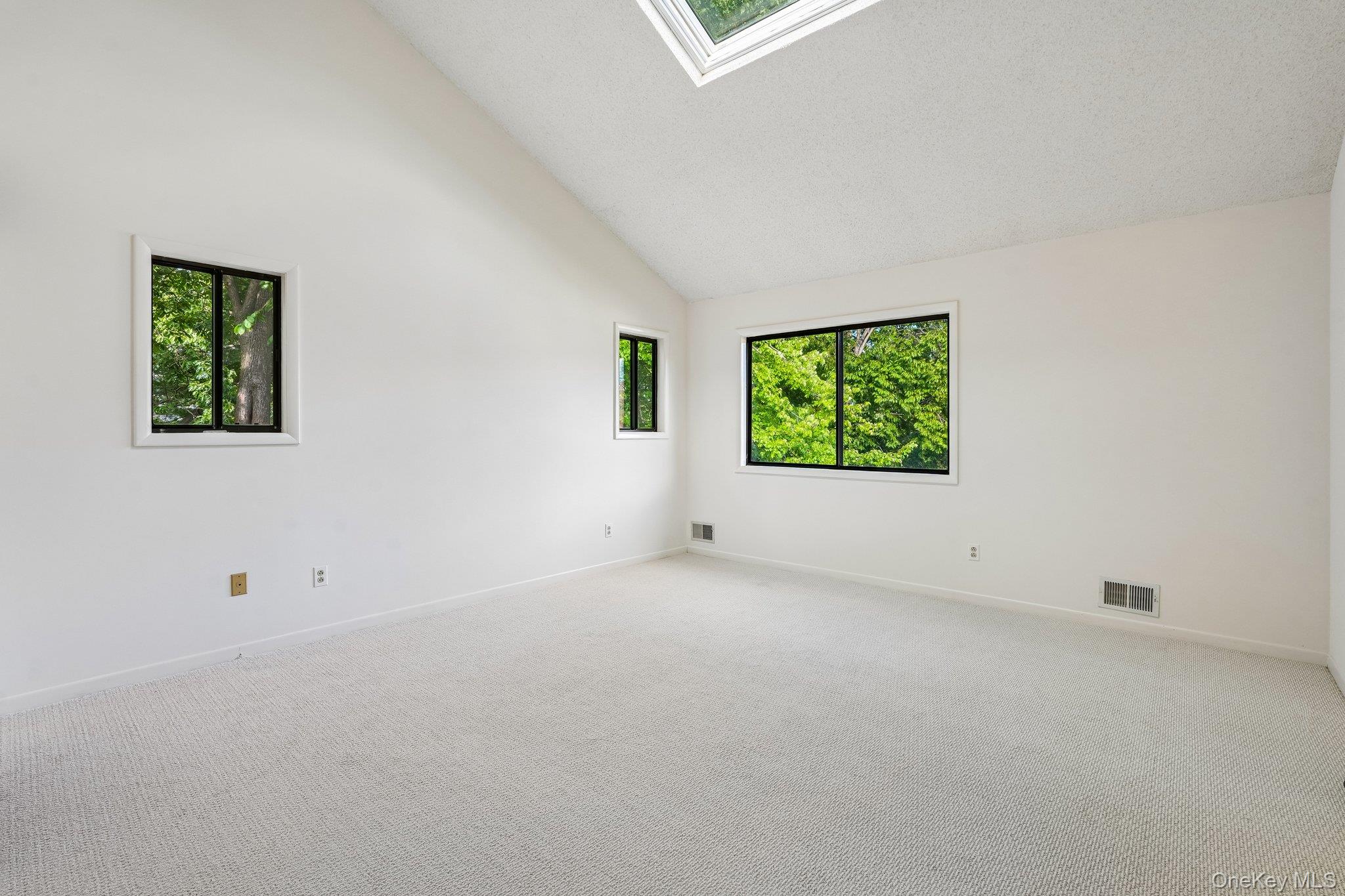 12 Evan Court Property Photo 23
