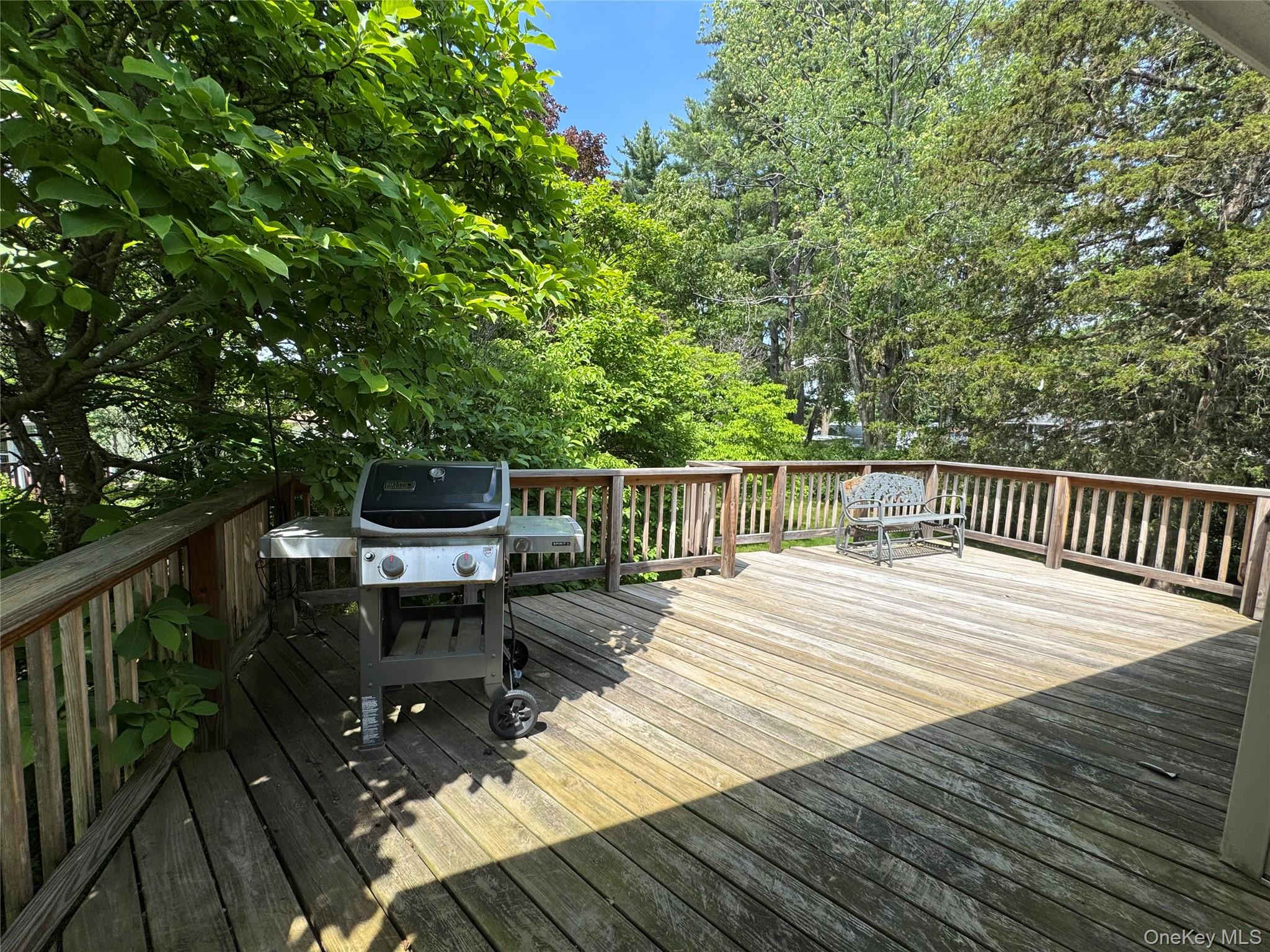 11 Lynbrook Road Property Photo 14