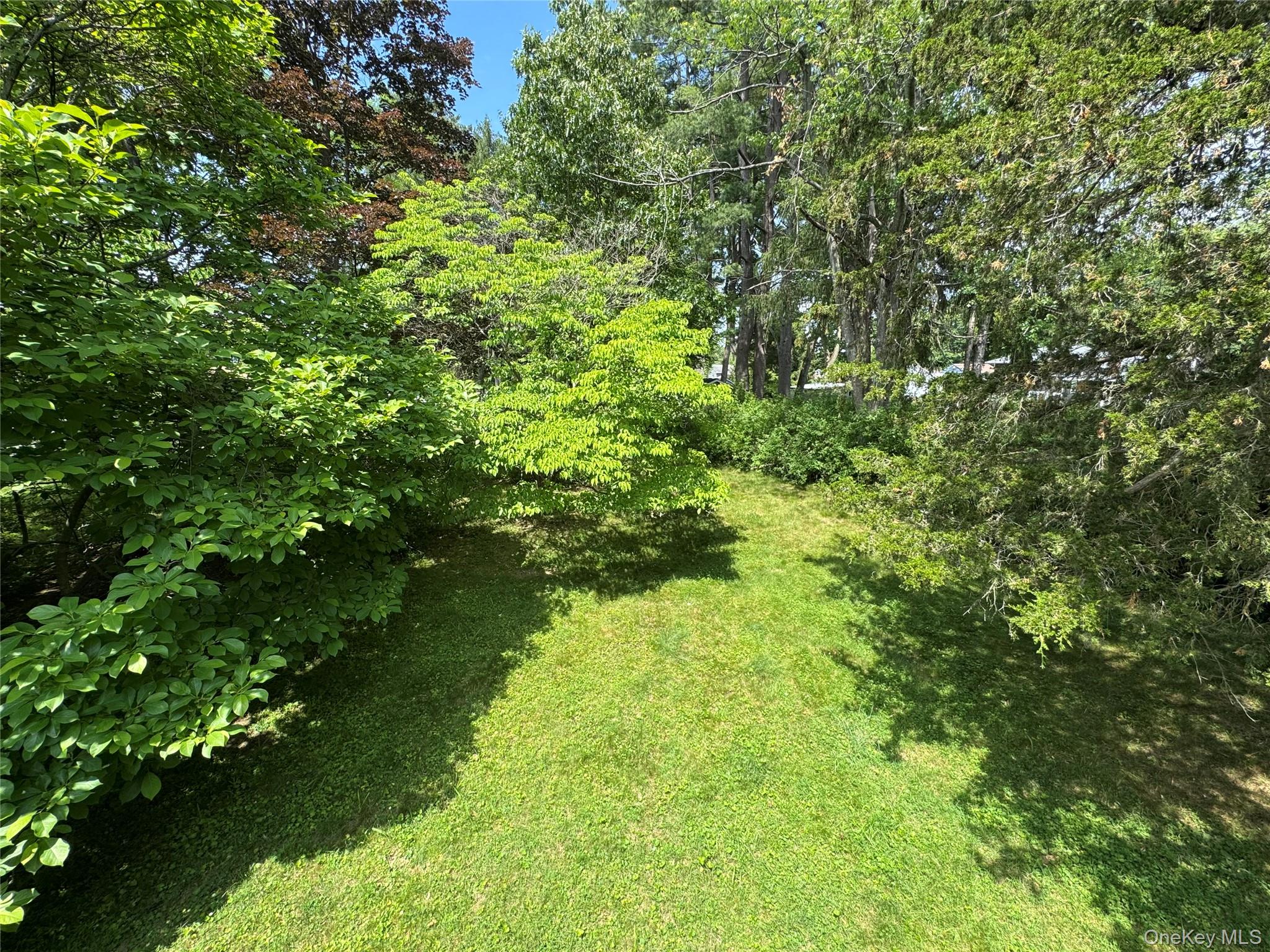 11 Lynbrook Road Property Photo 15