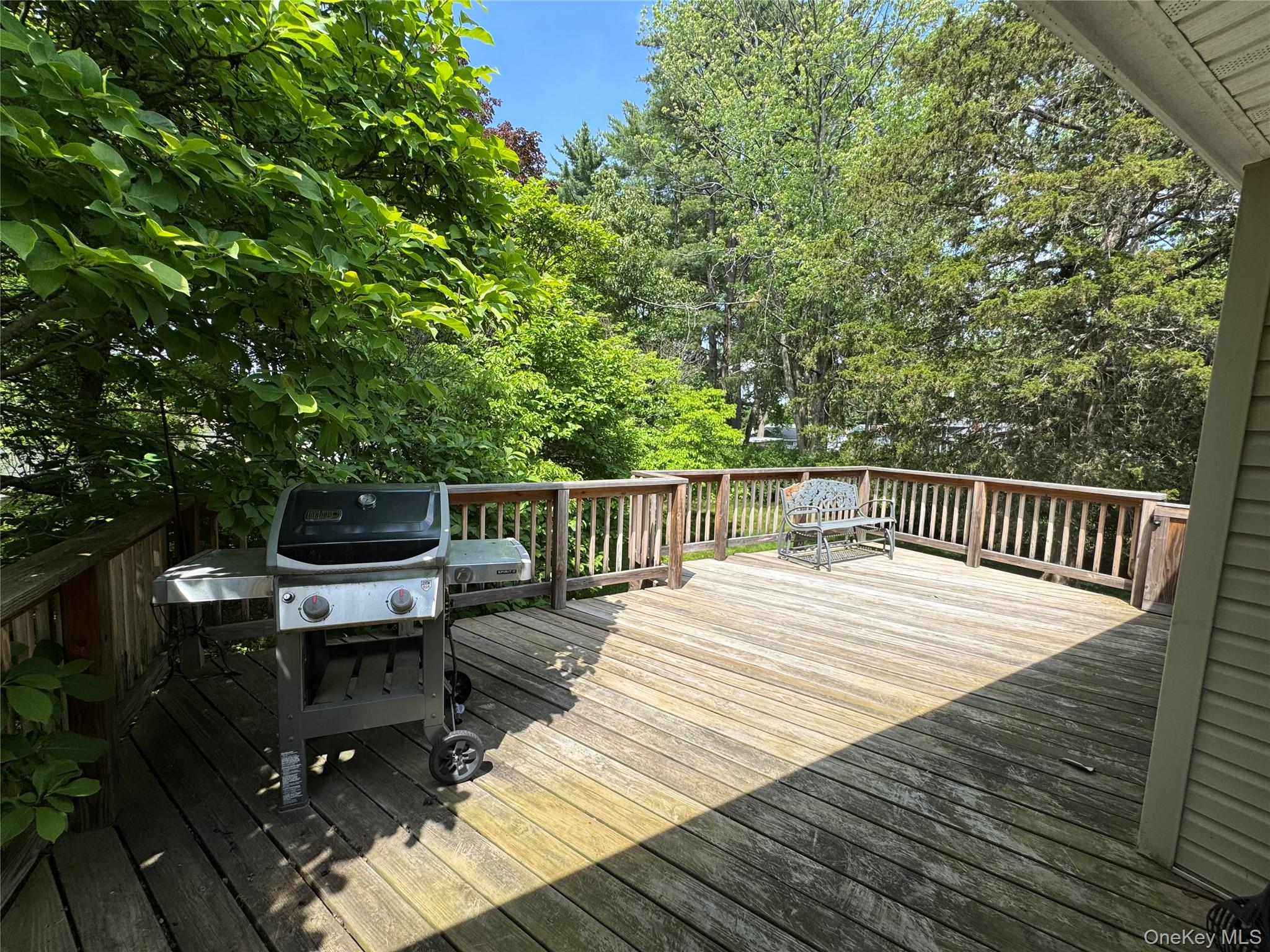 11 Lynbrook Road Property Photo 45