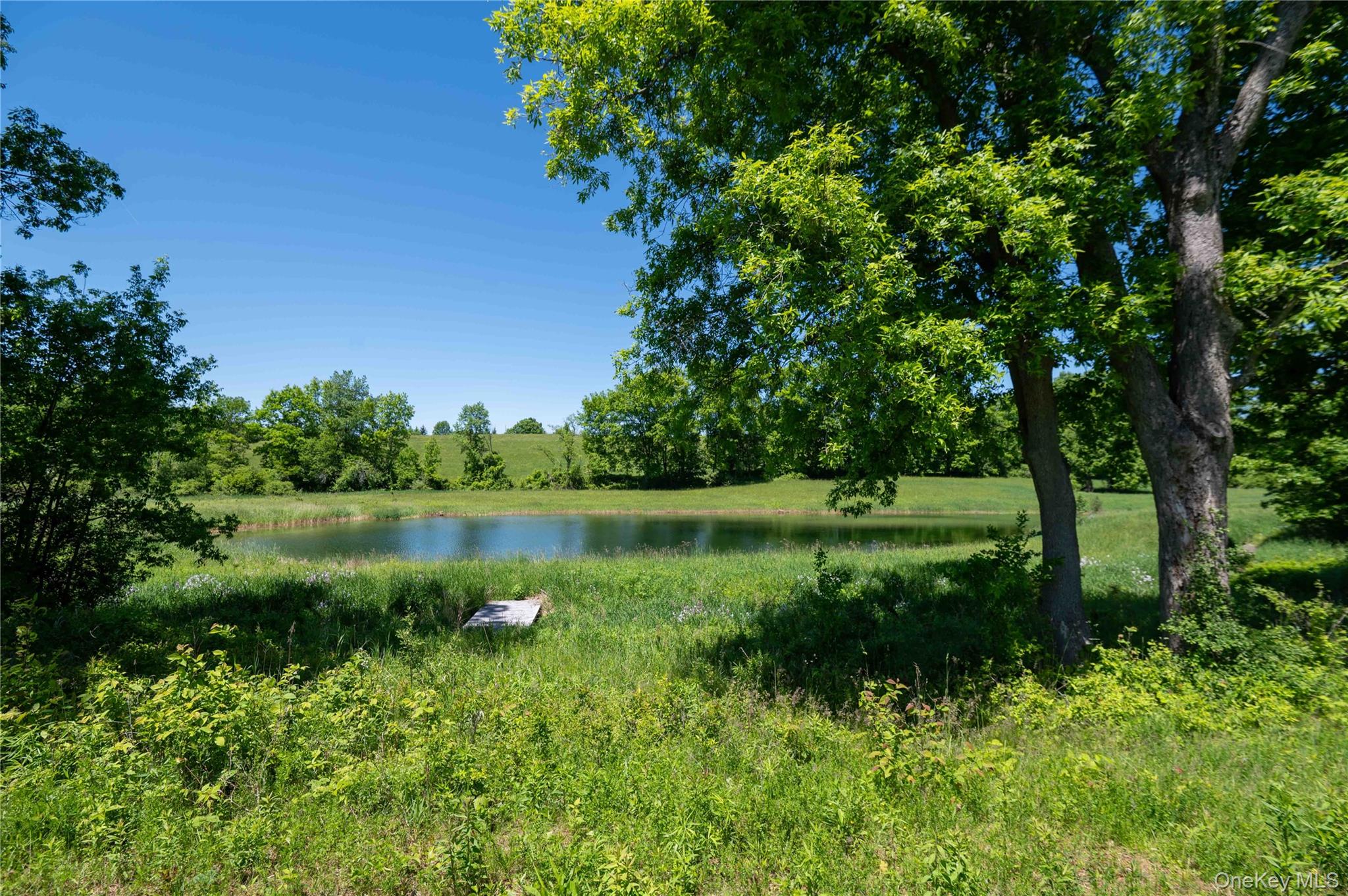 436 Schoolhouse Road 62 Property Photo 6