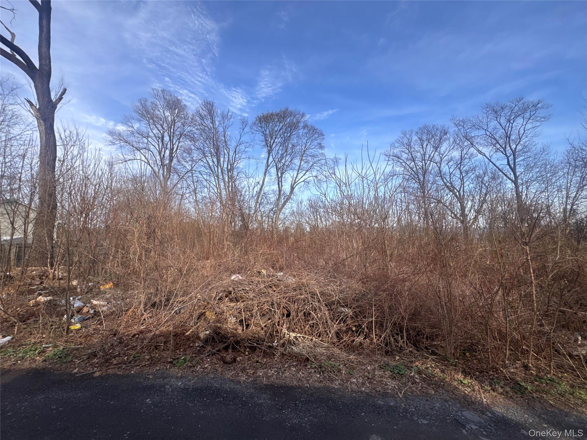 121 Robinson Avenue Property Photo 1