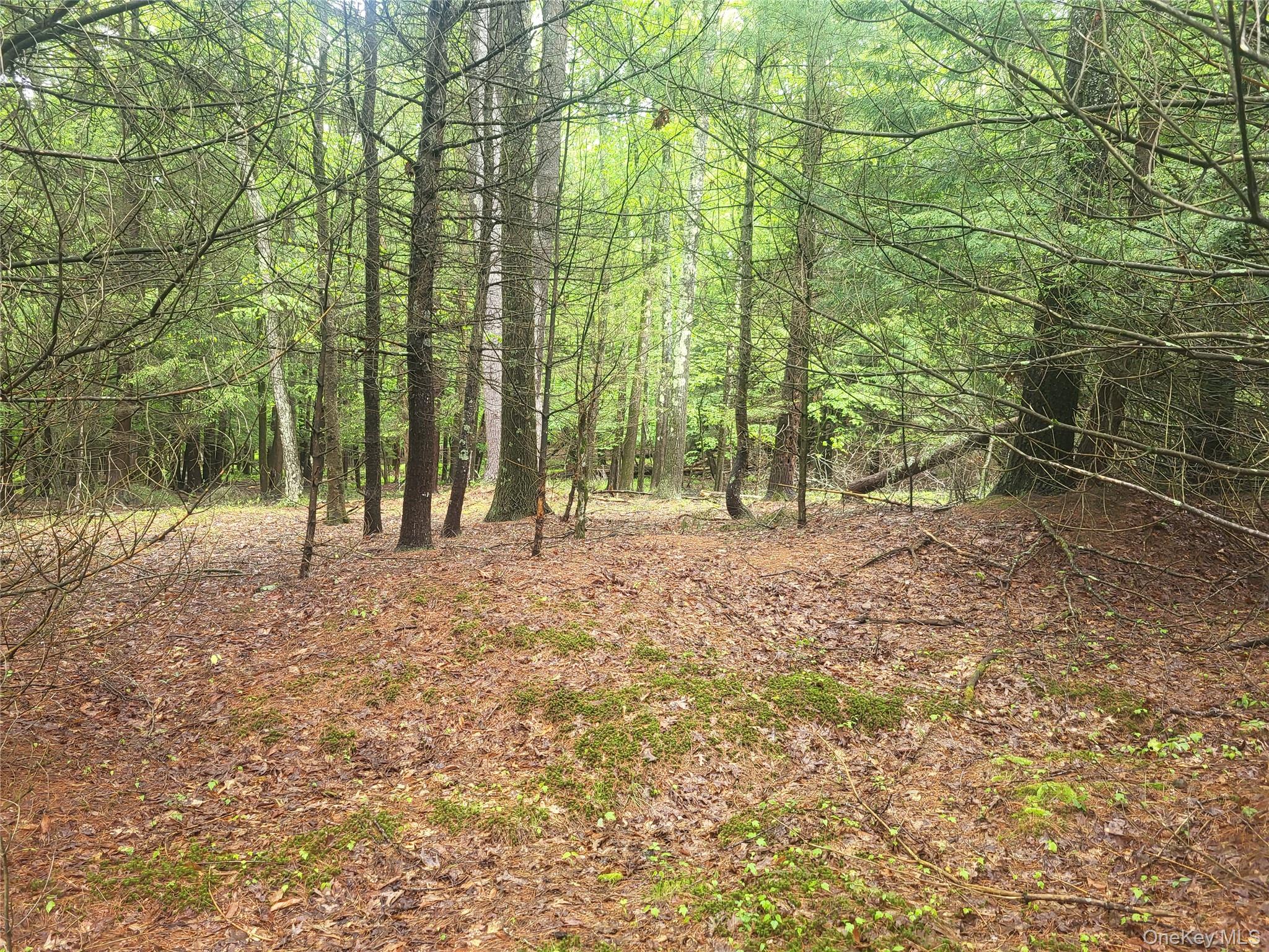 *** Marsh Rd Property Photo 6