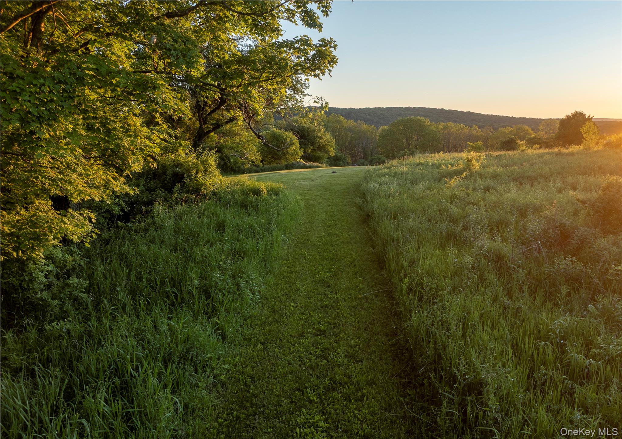 1504 Route 83 Property Photo 18