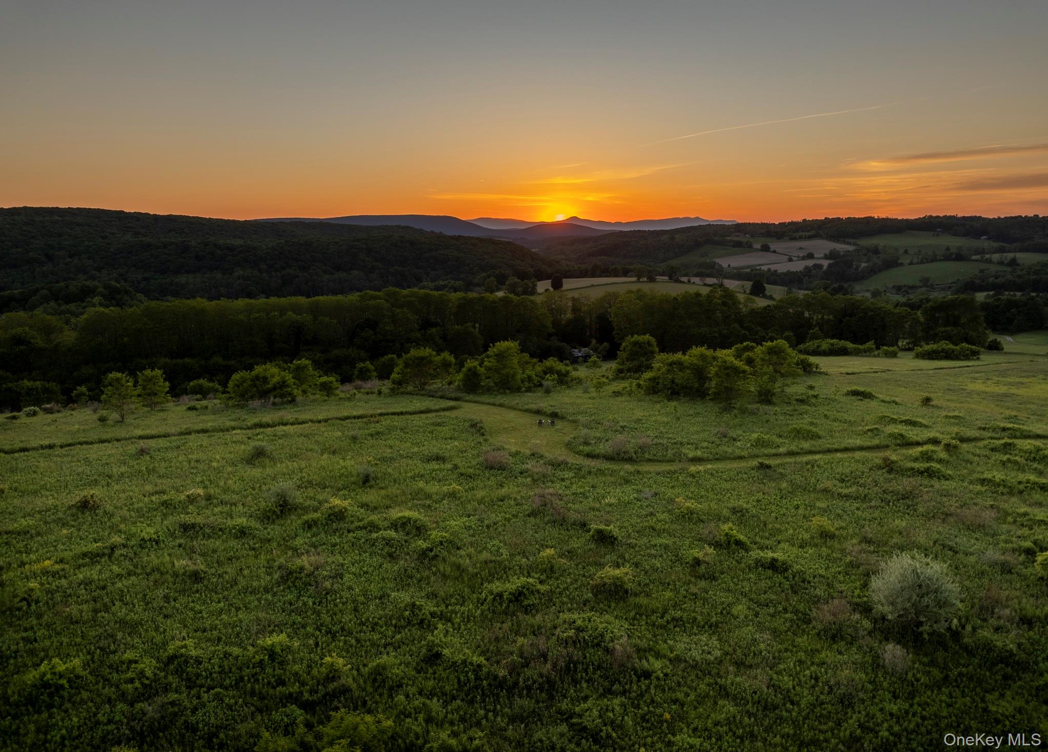 1504 Route 83 Property Photo 21
