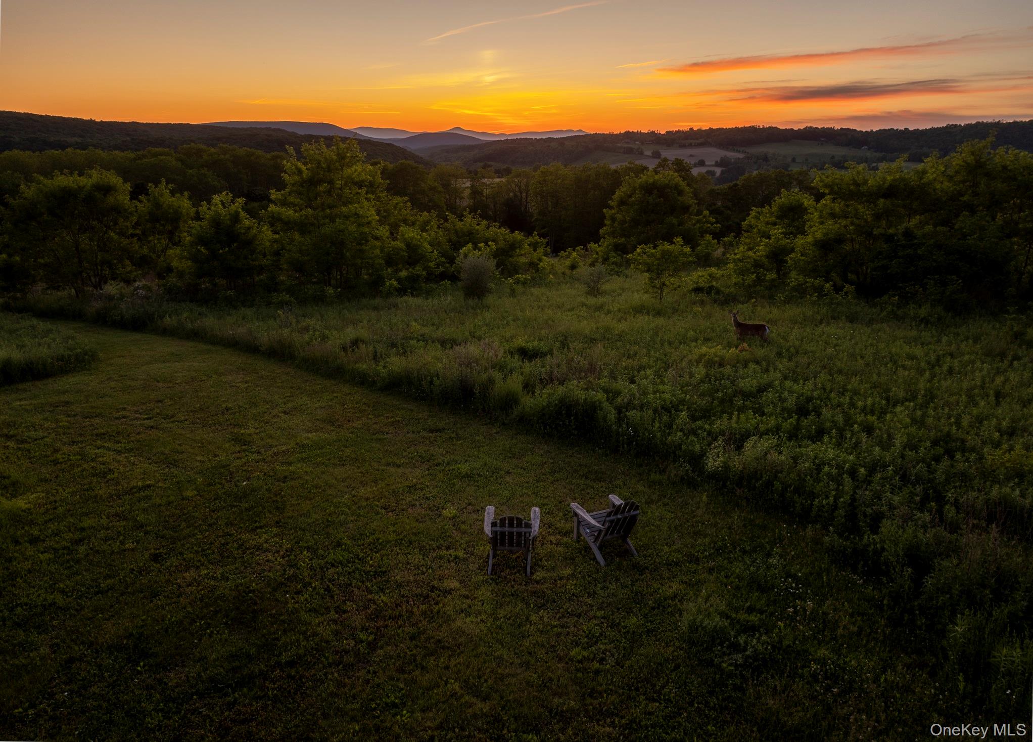 1504 Route 83 Property Photo 22