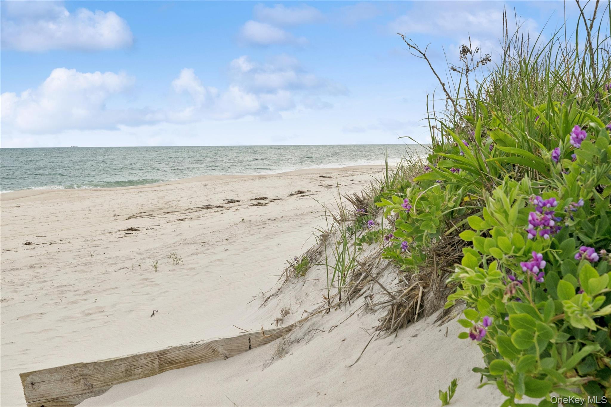 281 Dune Road 17b Property Photo 25