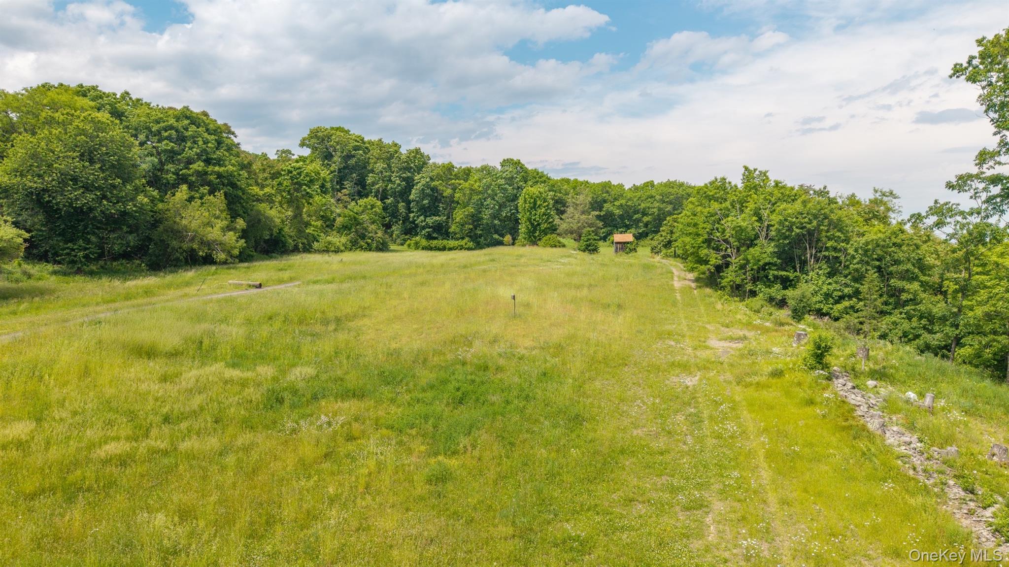Tbd Skinner Lane Property Photo 8