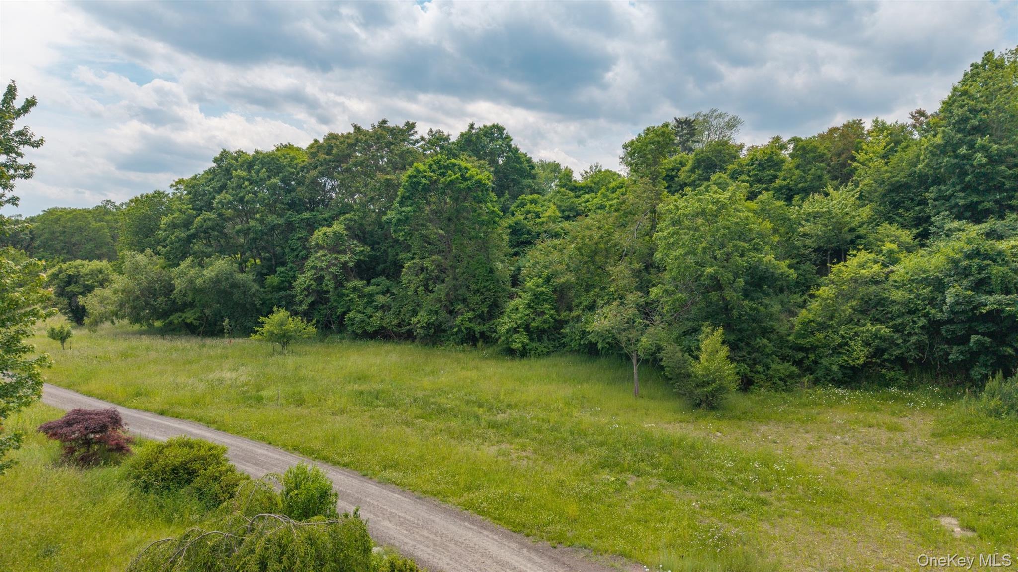 Tbd Skinner Lane Property Photo 14
