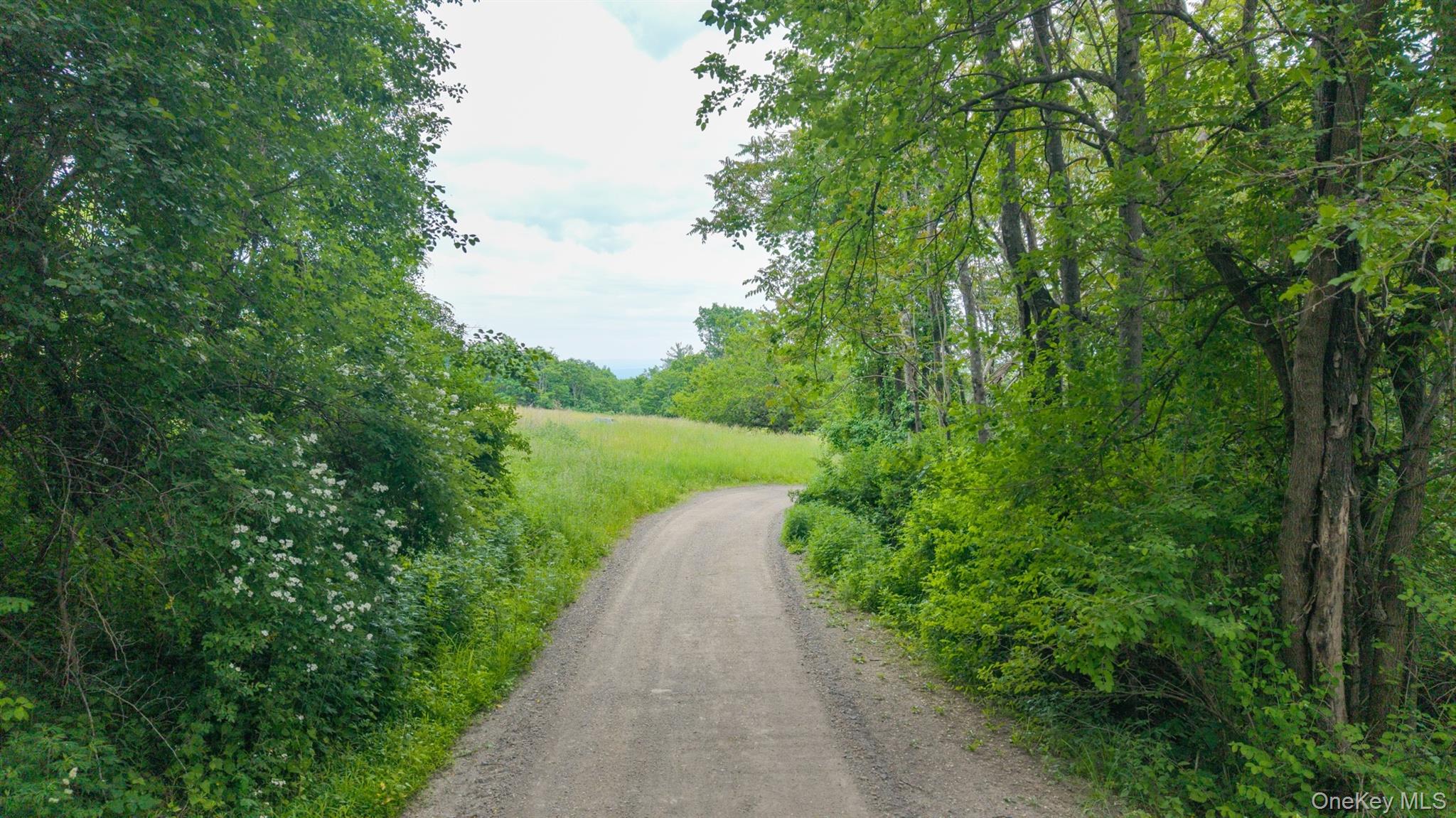 Tbd Skinner Lane Property Photo 15