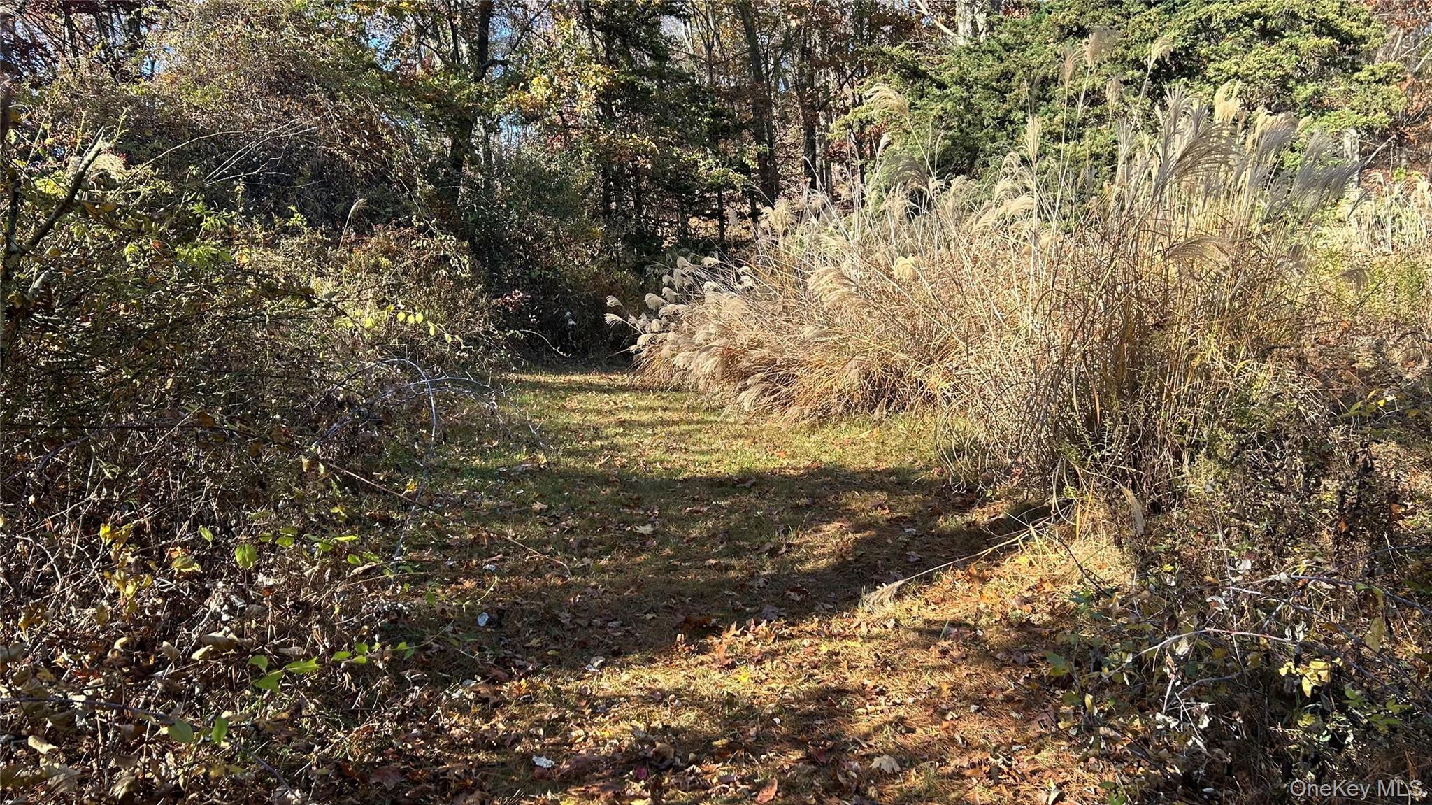 66 Ryan Road Property Photo 2