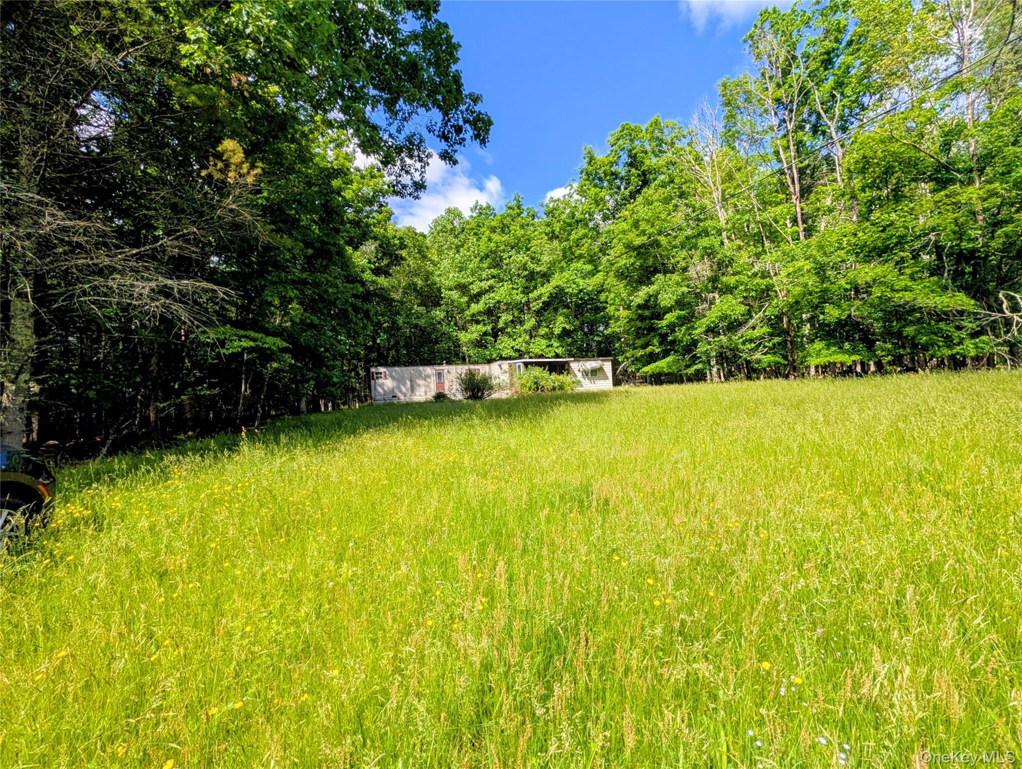 0 State Route 97 Property Photo 1