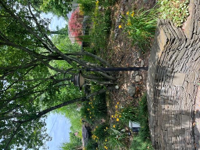 9 Mystic Glen Place Property Photo 48