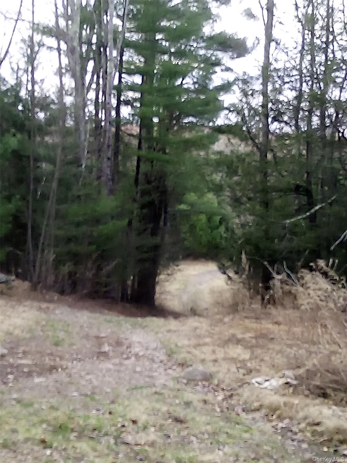 Gibber Road Property Photo 4