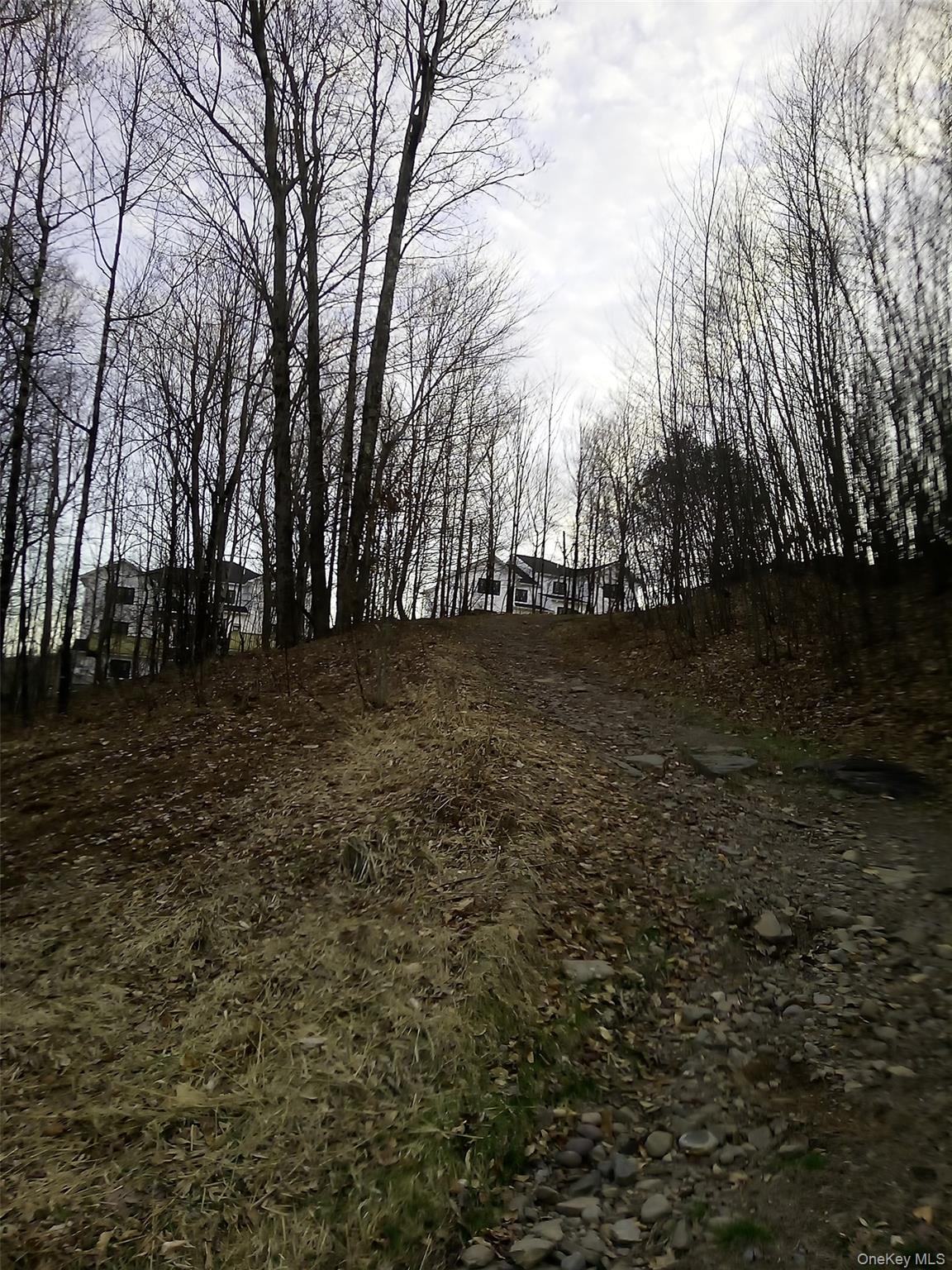 Gibber Road Property Photo 5
