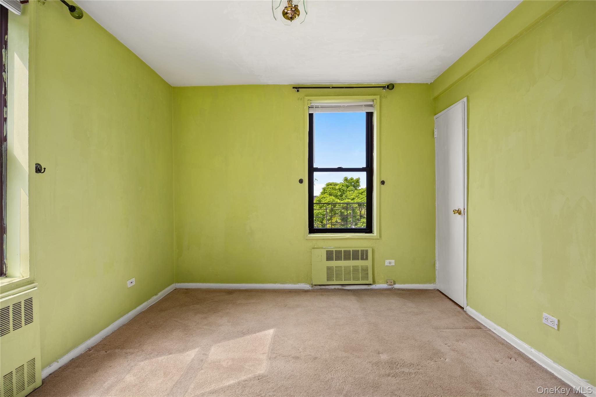 65-15 38th Avenue 5k Property Photo 12