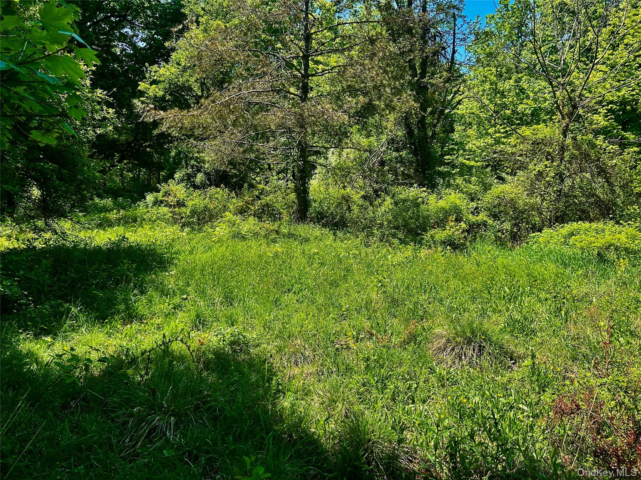 73 North Creek Road Property Photo 2